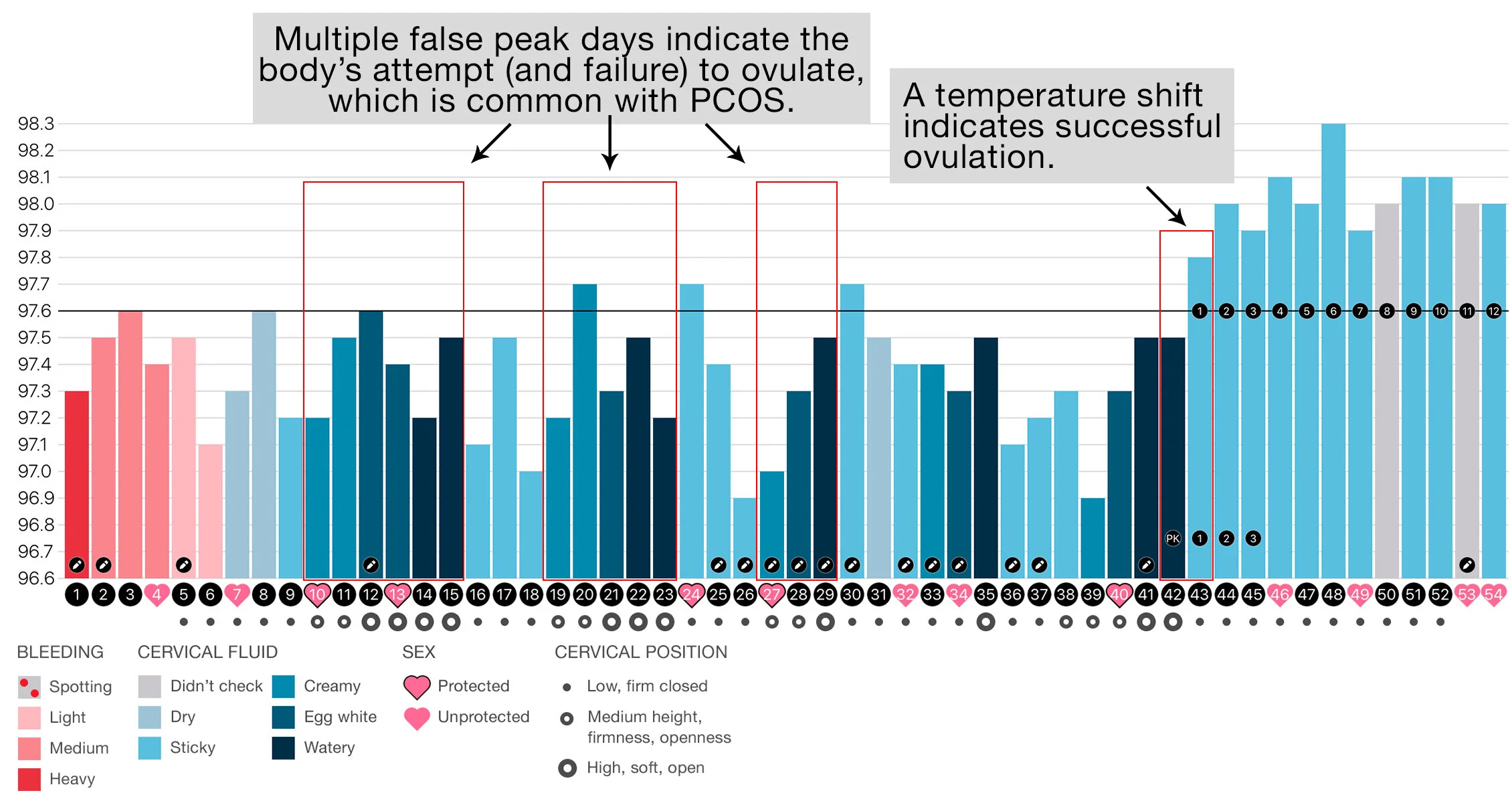 Decipher your cycle with these sample Groove charts — Groove Basal