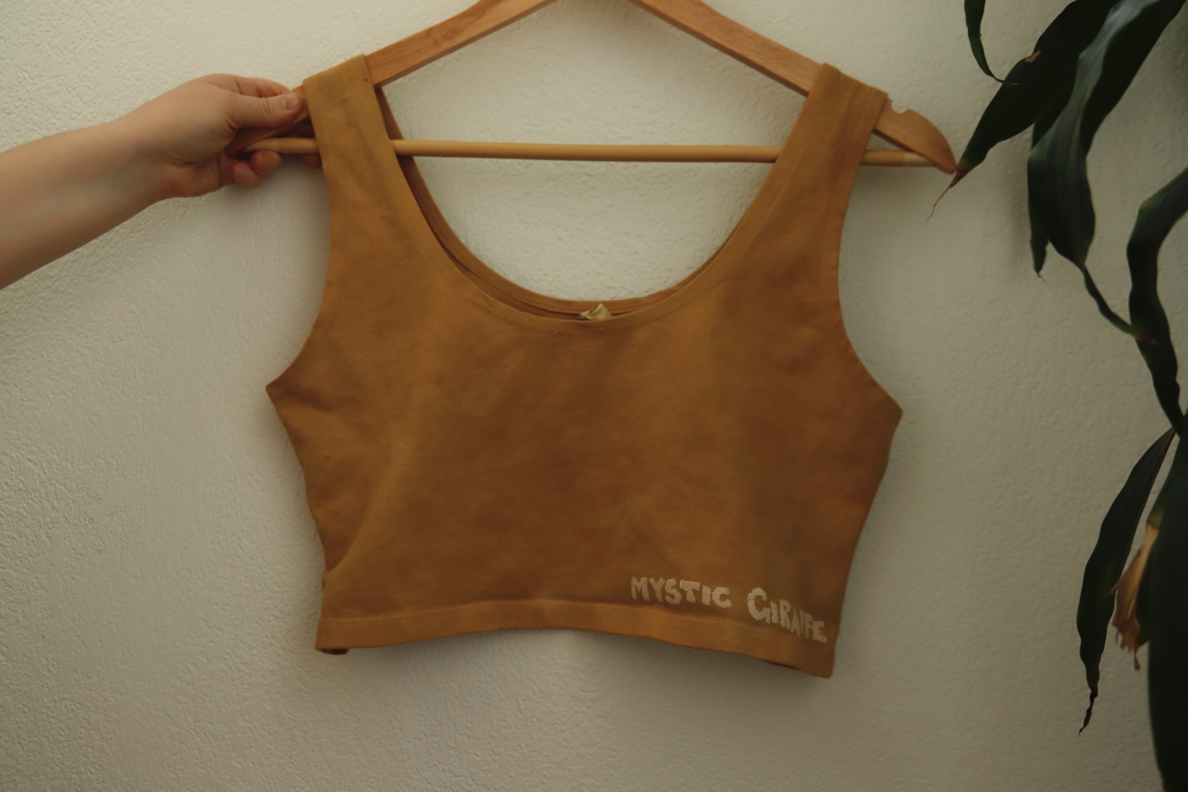 E1C0761C-9C46-4992-A987-4D071B837F9E.jpeg