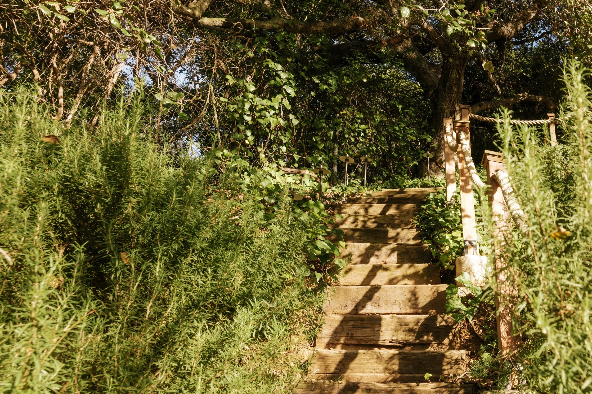 9F5A4605-Edit.jpg