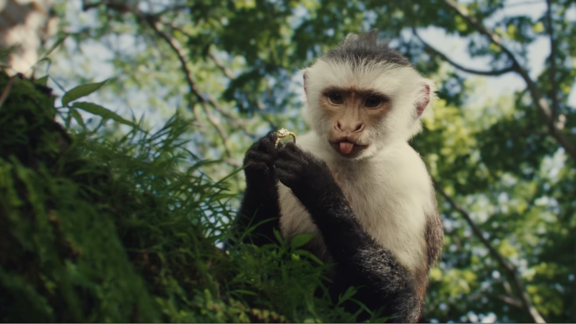 E*TRADE More To Love