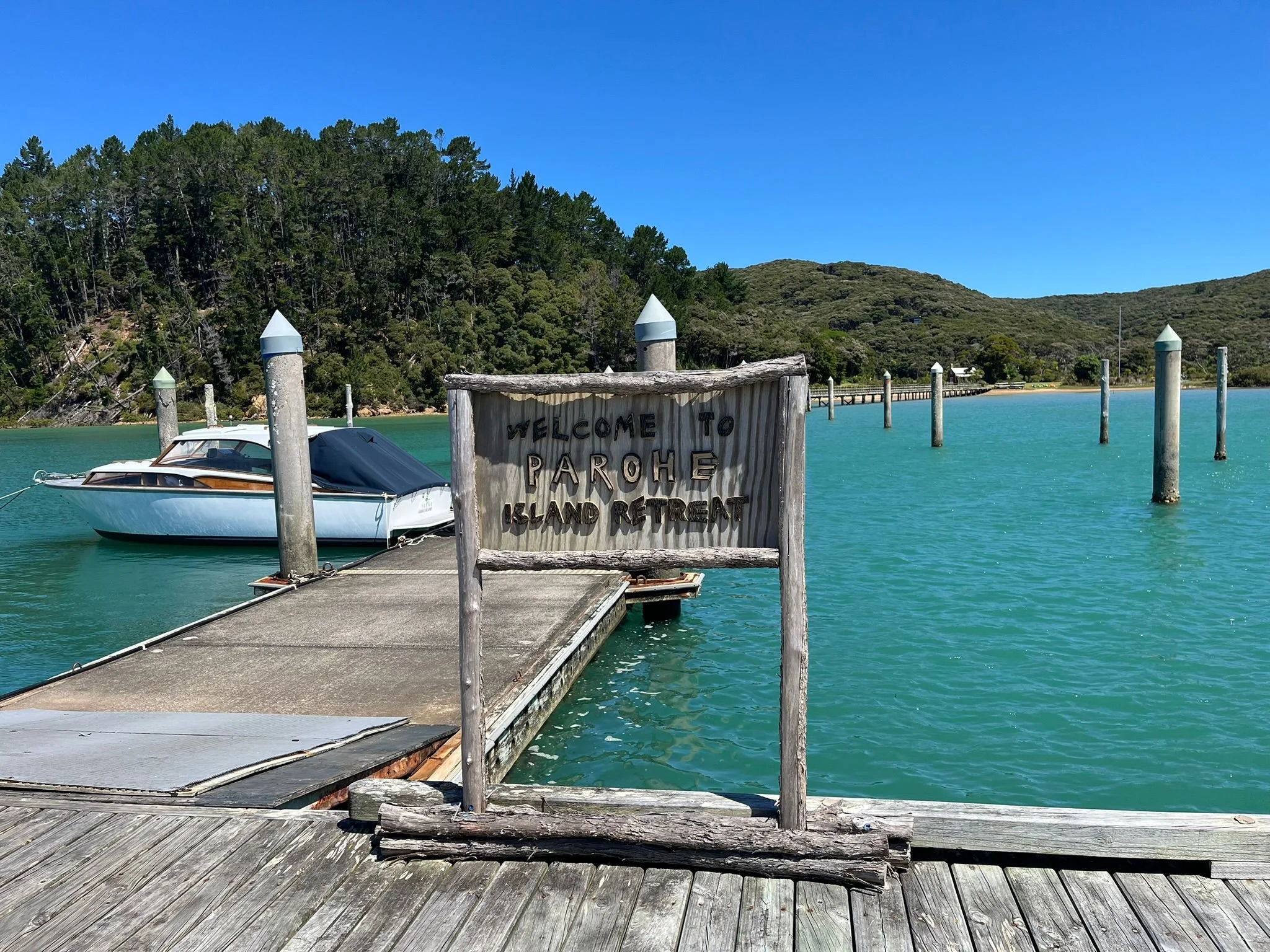 Kawau Accommodation for a Restorative Escape