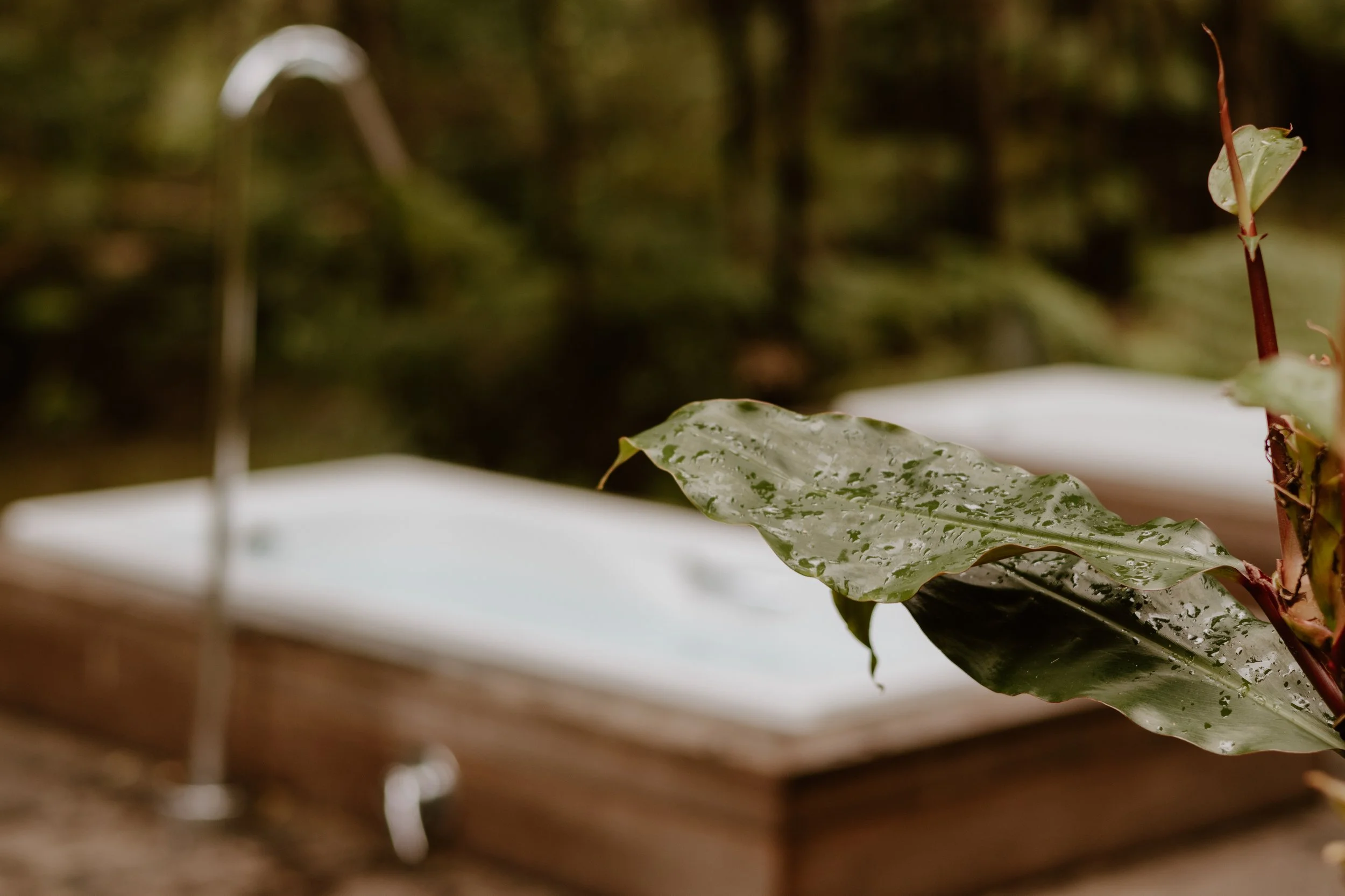 Winter Solstice Rituals to Reset and Recharge