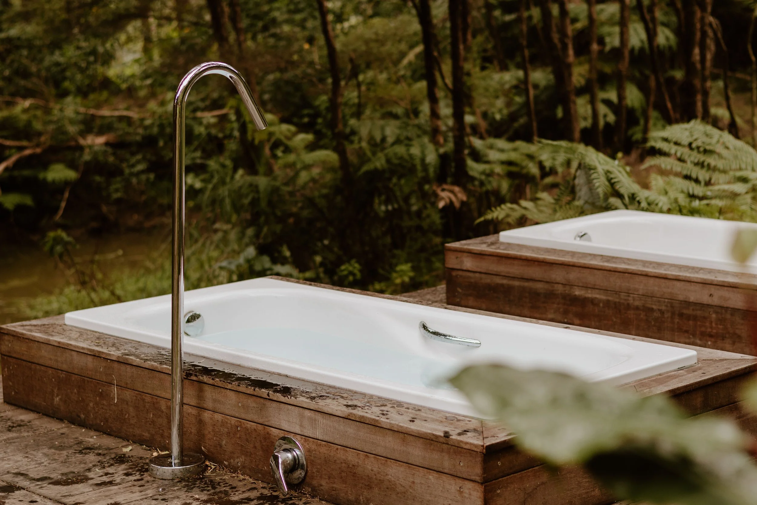 Shinrin-Yoku: The Japanese Art of Forest Bathing