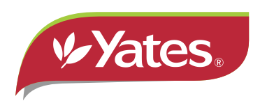 Yates