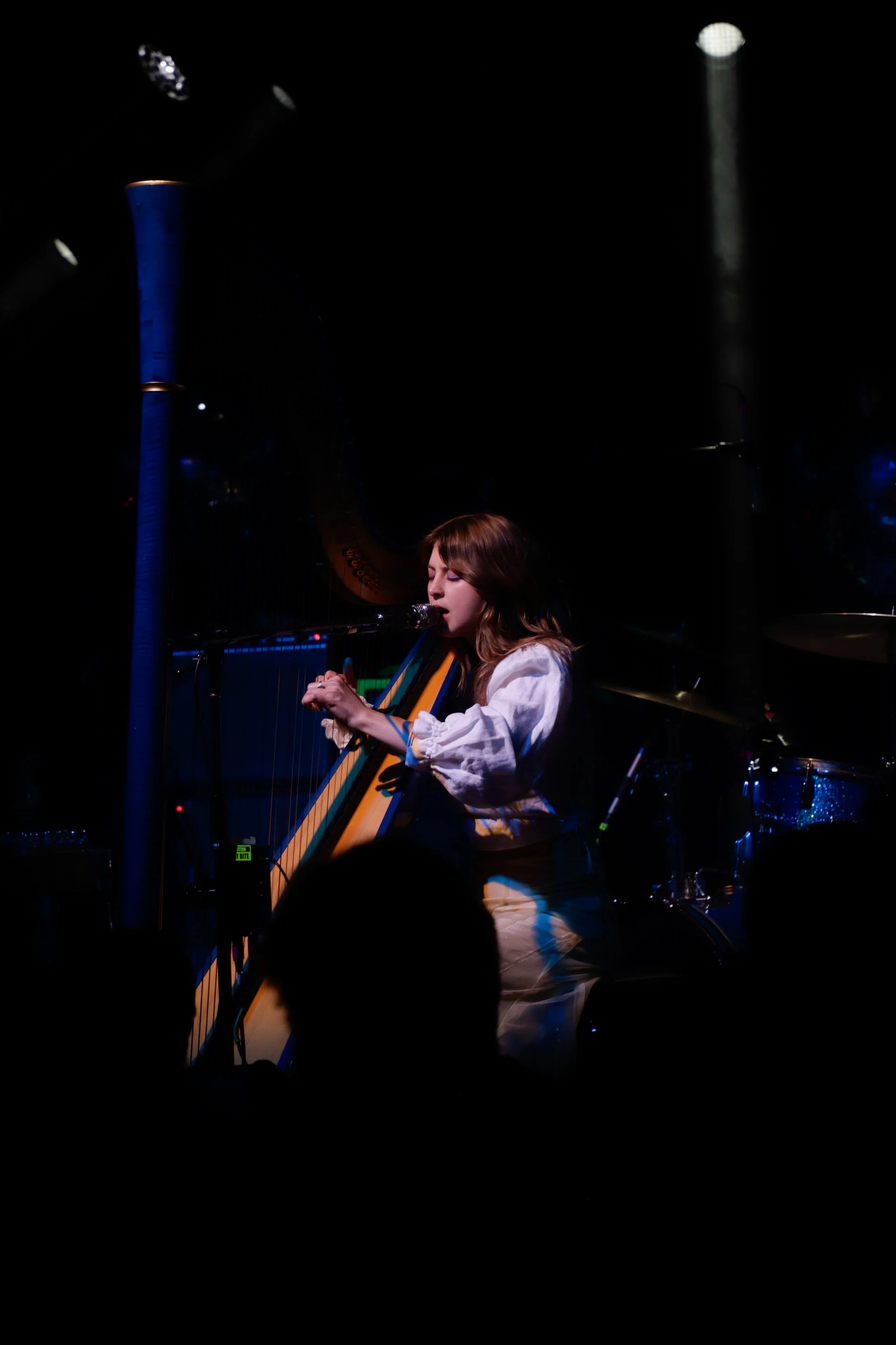 Circles_BrooklynBowl_PERRISAGE_030224_6.jpg