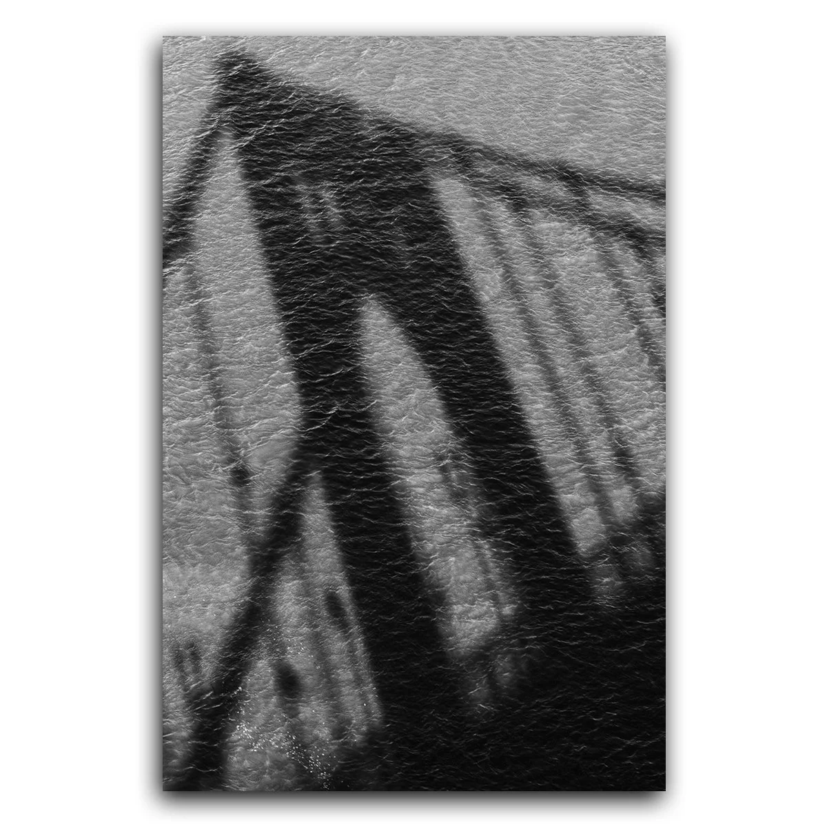 Shadow and Texture from the Roberto Clemente Bridge