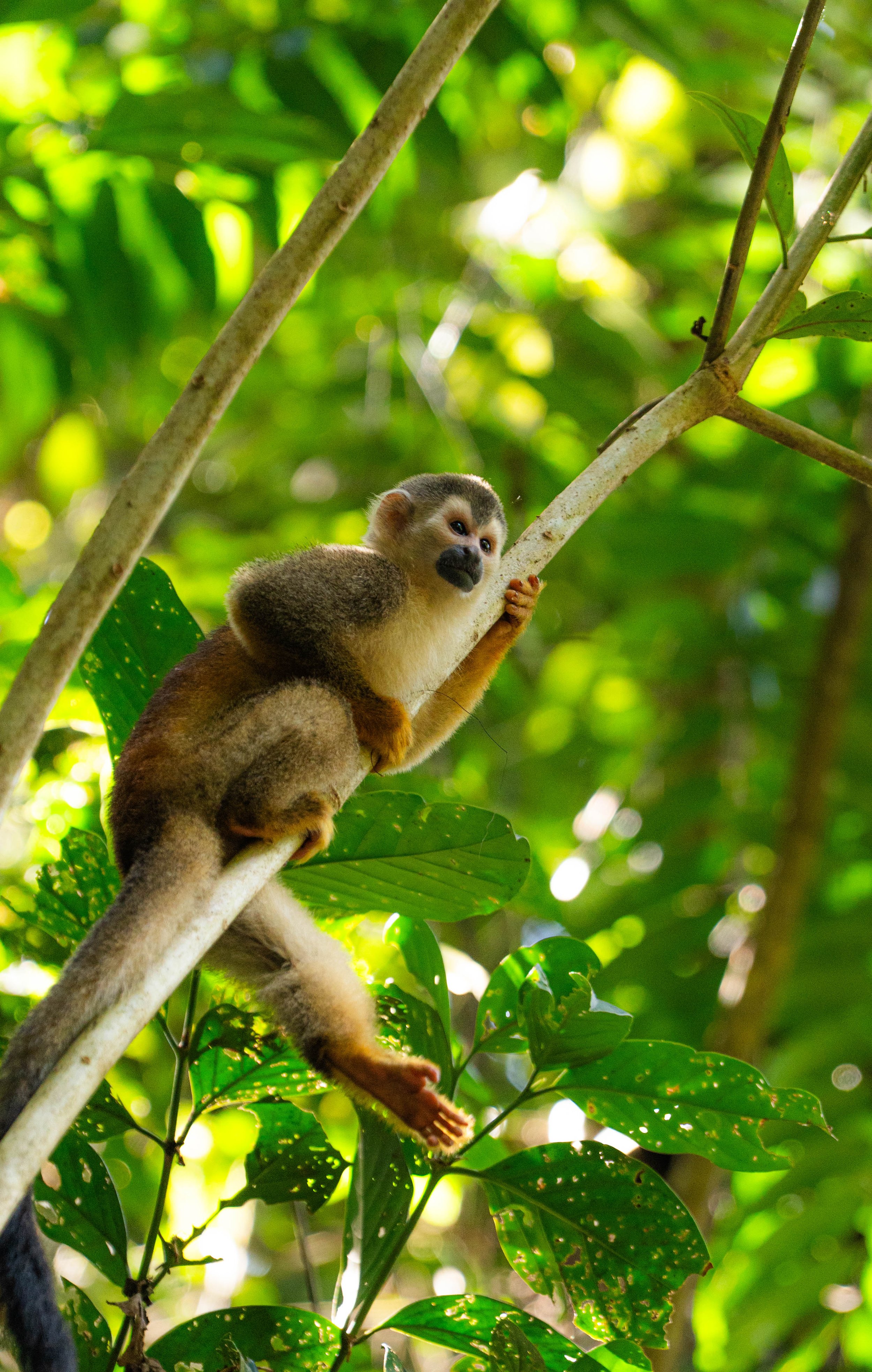 CostaRica-472.jpg