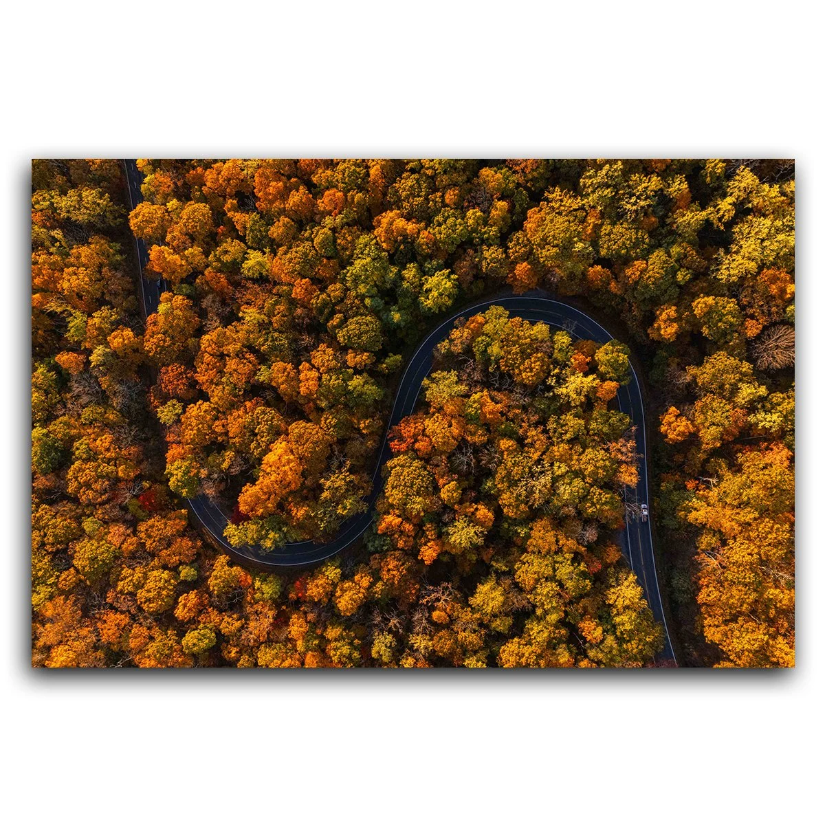 Fall in Virginia