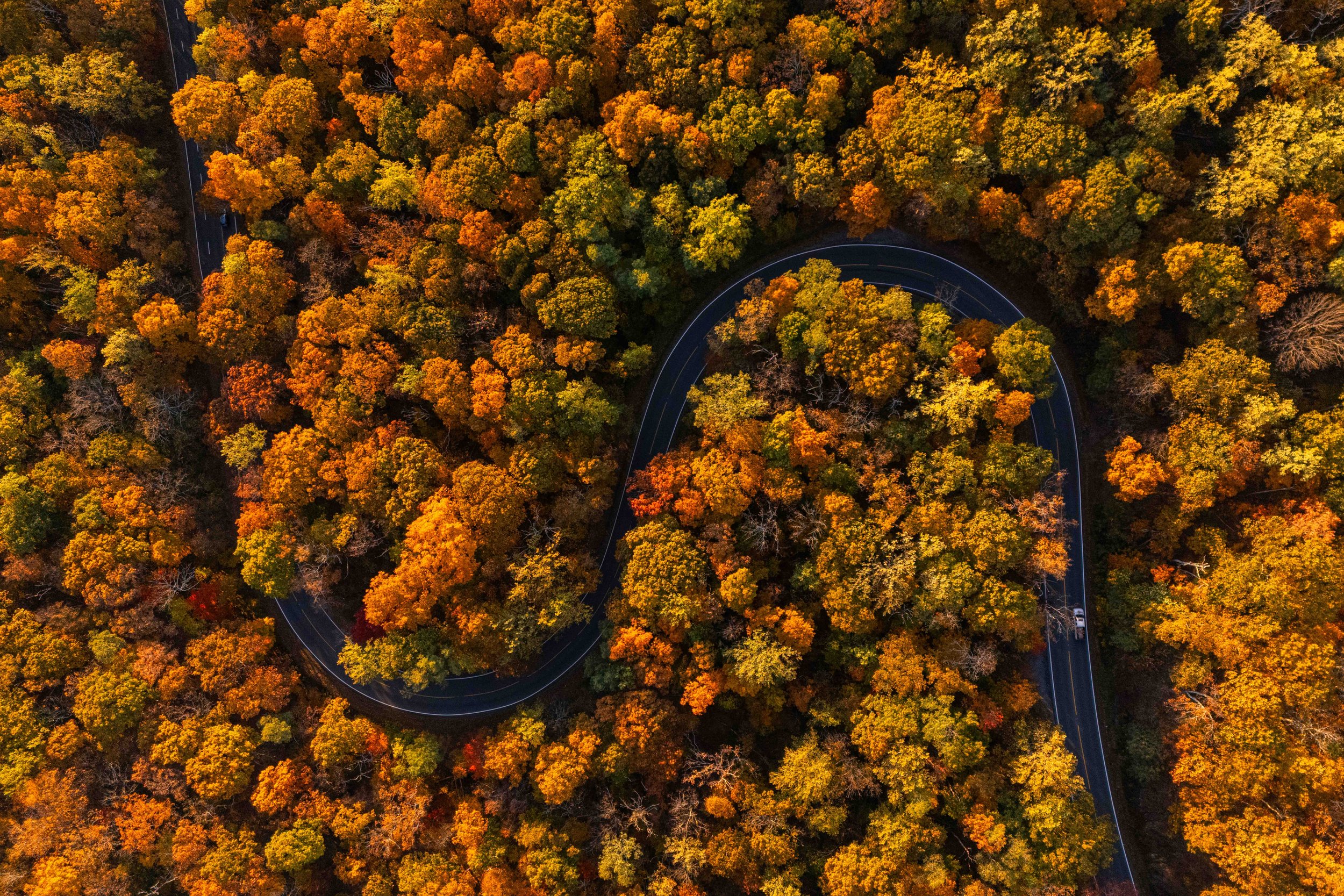 Wintergreen Fall top down.jpg