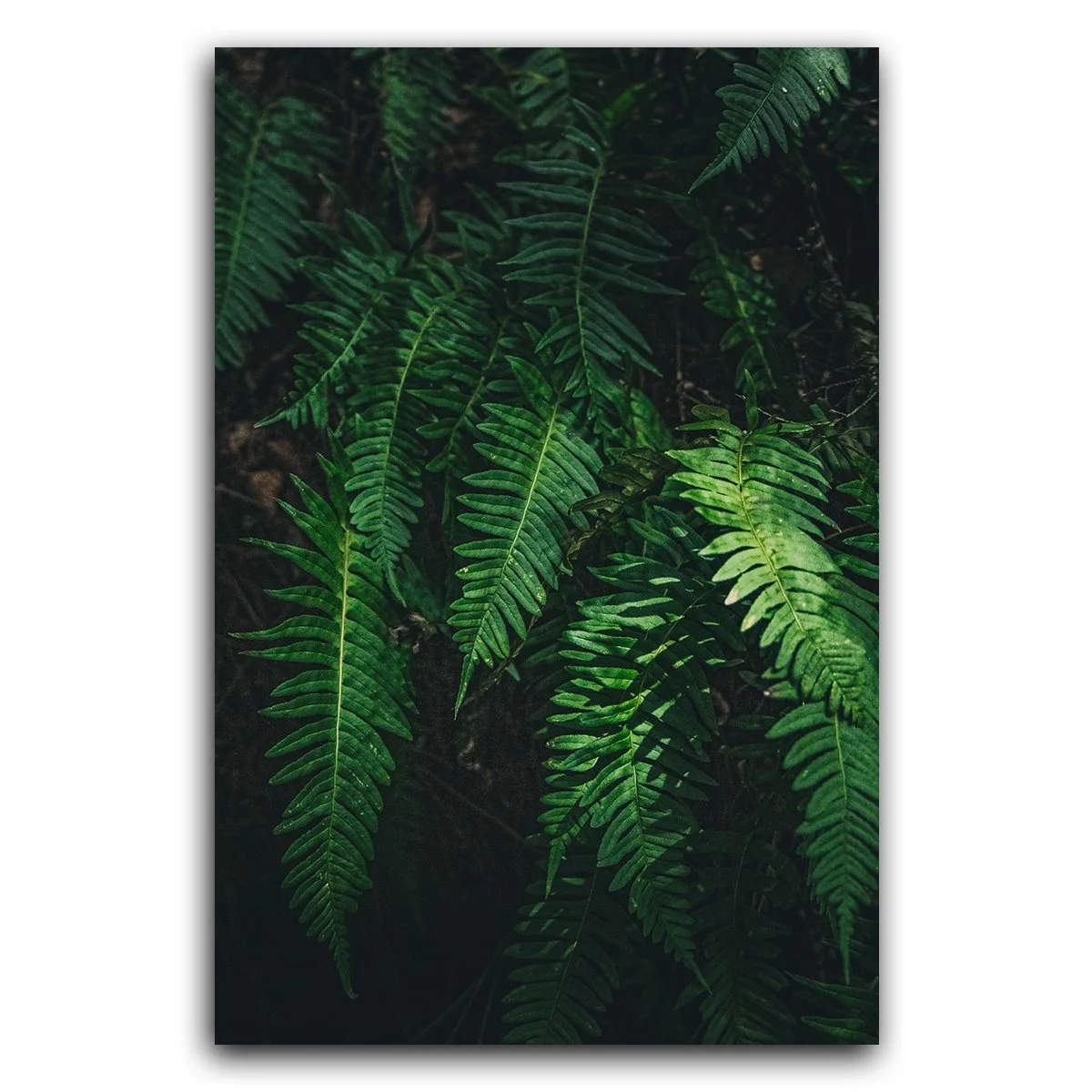 Untitled-19.jpg