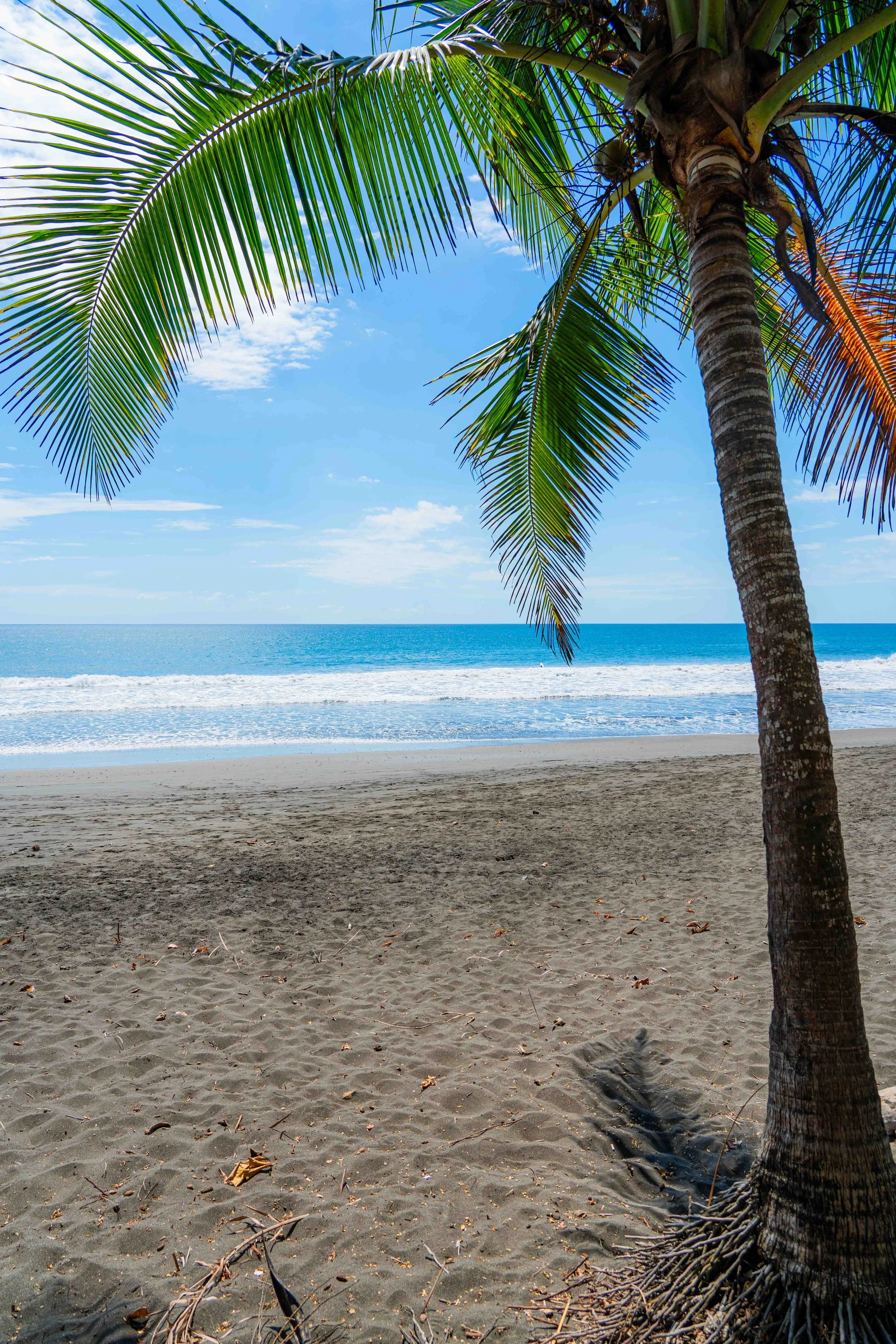 CostaRica-364.jpg
