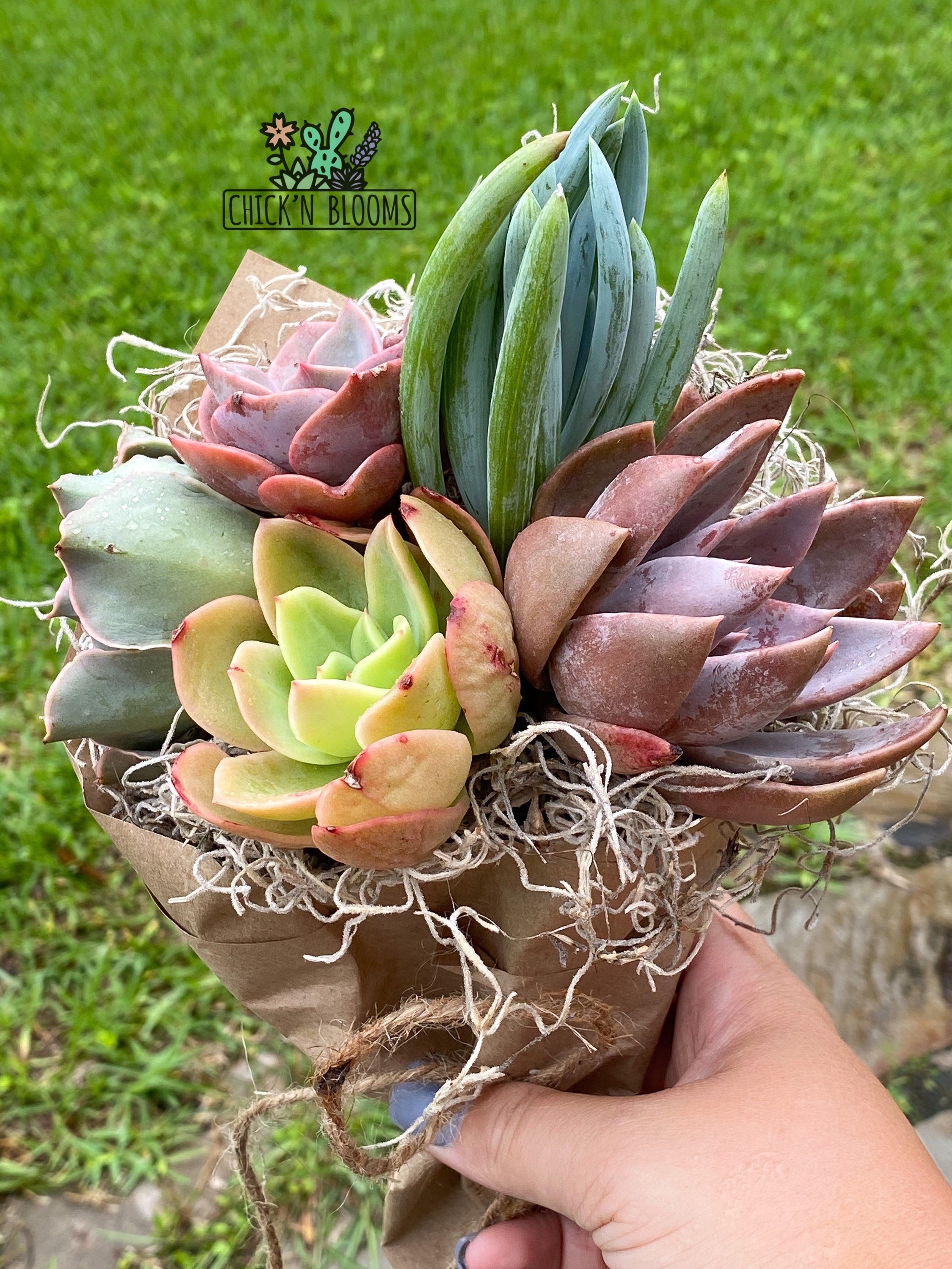 https://i.etsystatic.com/24535709/r/il/cb92d9/3100379033/il_fullxfull.3100379033_g8xp.jpg