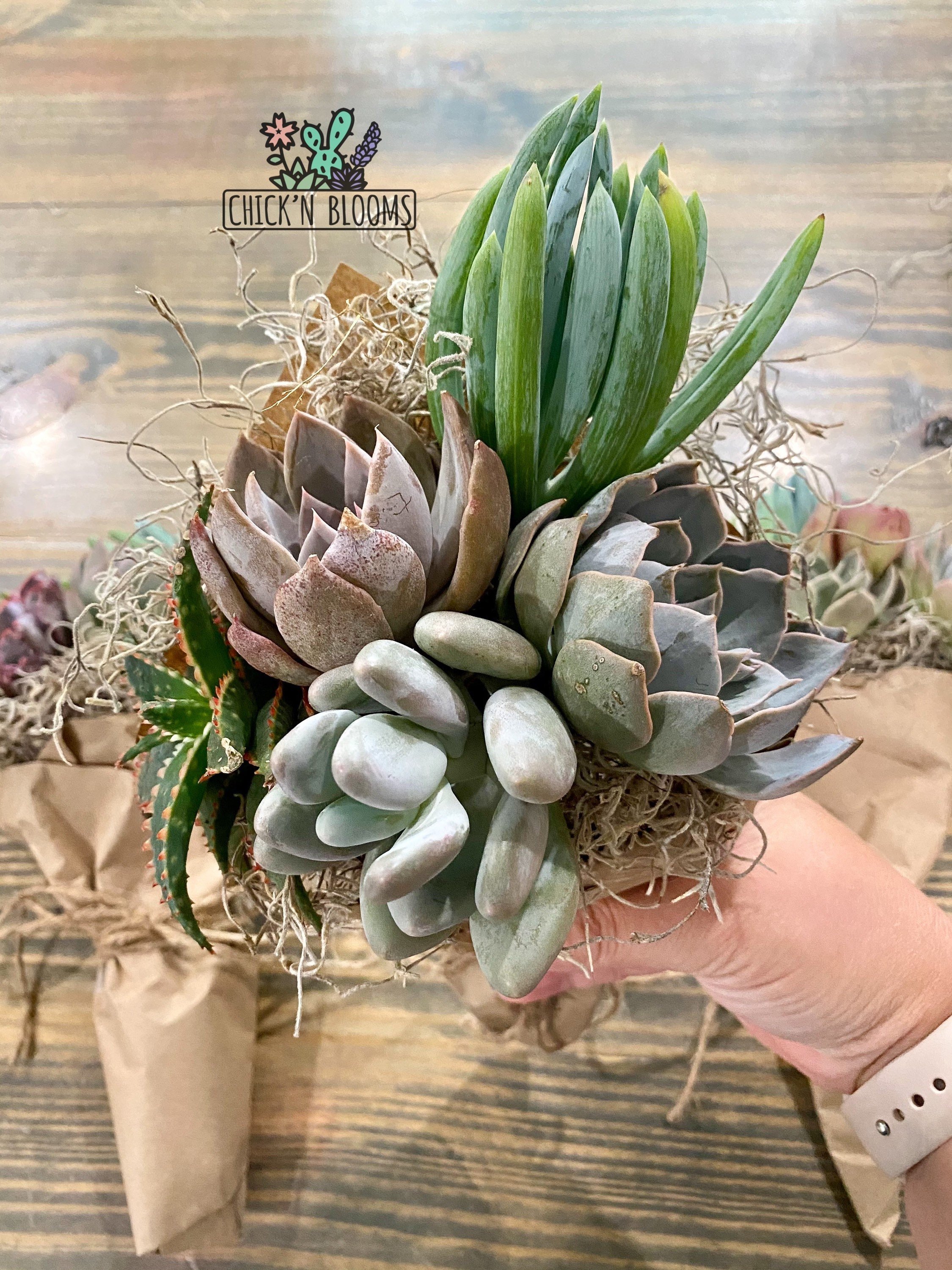https://i.etsystatic.com/24535709/r/il/dc15d5/3100379101/il_fullxfull.3100379101_t7ms.jpg