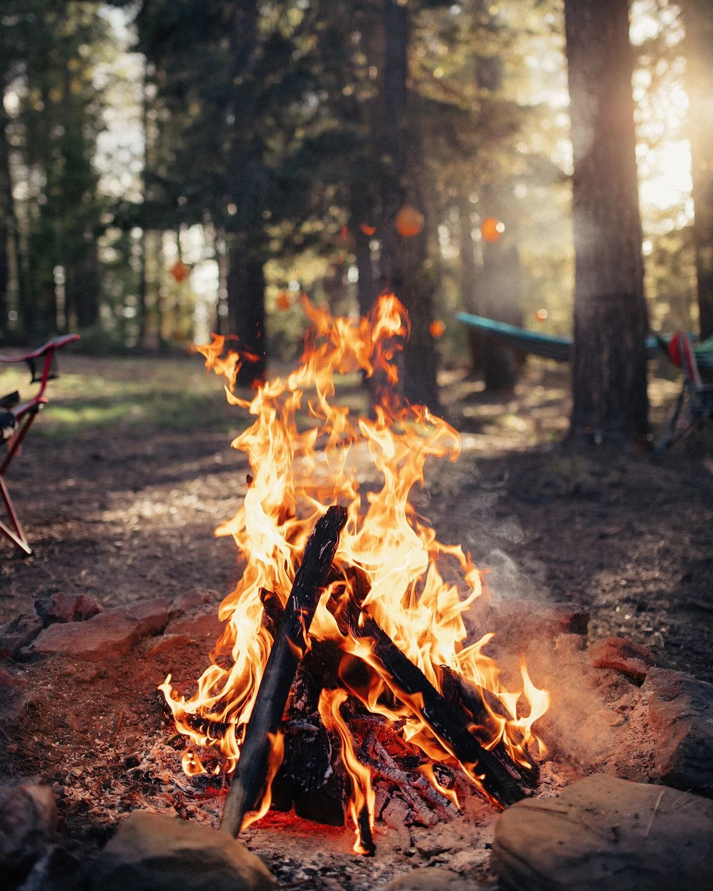 🏕
.
.
.
#camping #campfire #forest #outdoor #outdoors #camp #arizona #mogollonrim #azphotographer #lbphotocinema