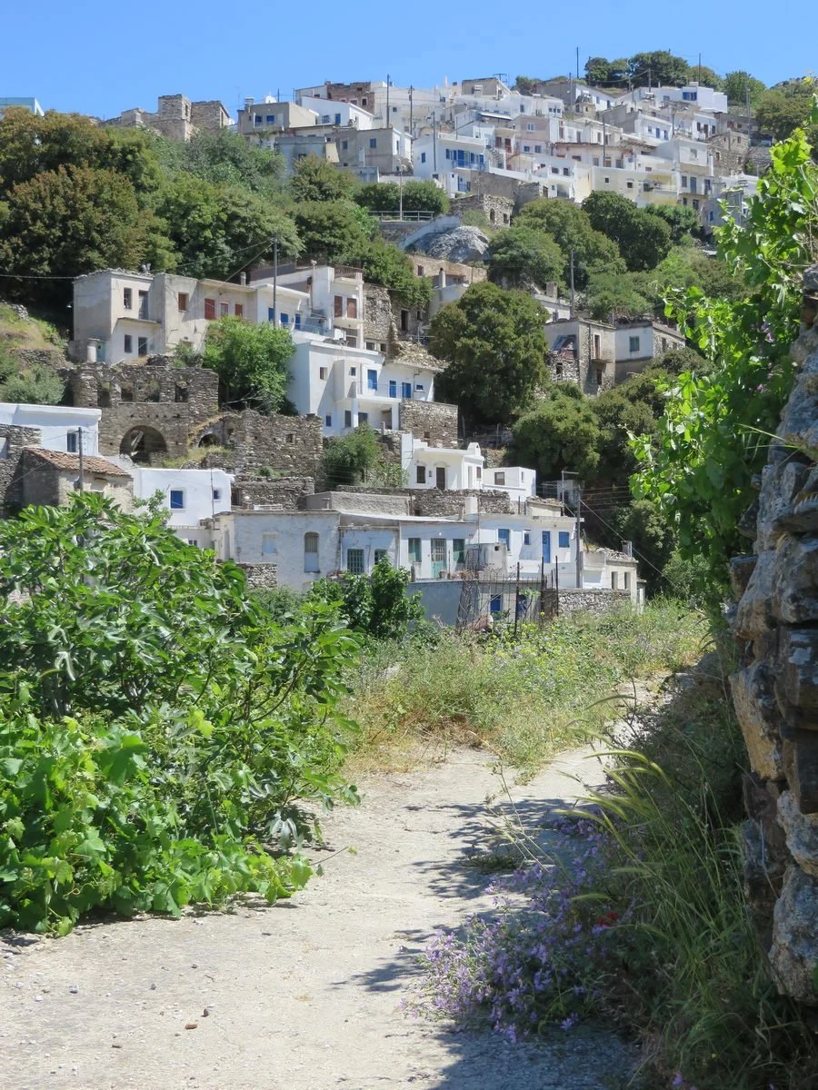 Walking Tour Hike 4.jpg