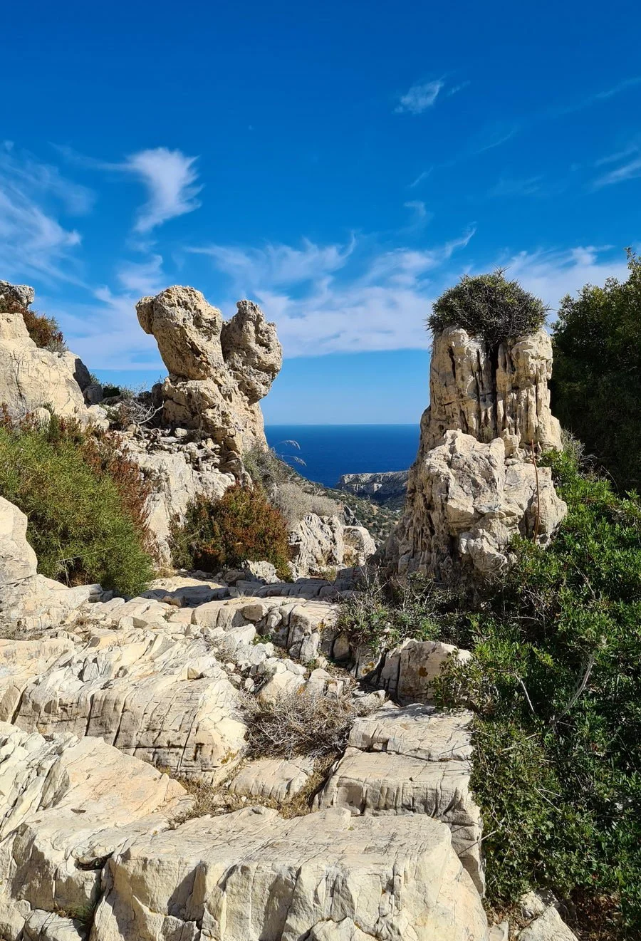 Walking Tour Hike 2.jpg