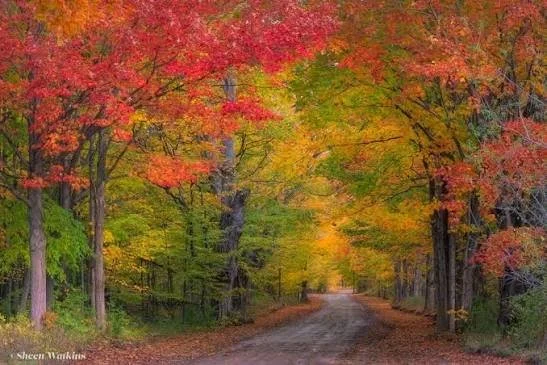 leelanau peninsula.jpg