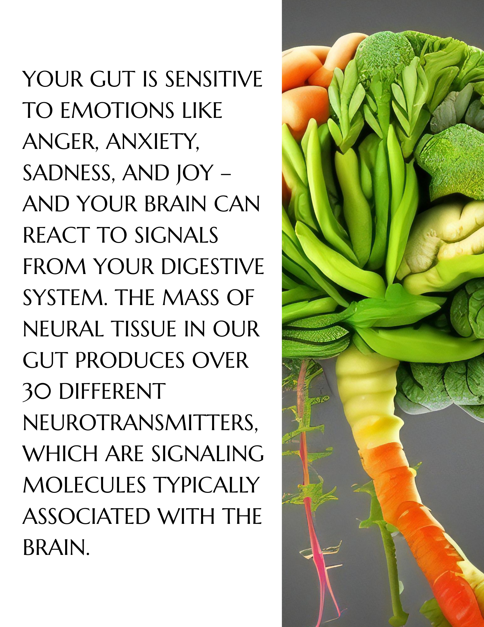 The Summer Detox Work Book (3).png