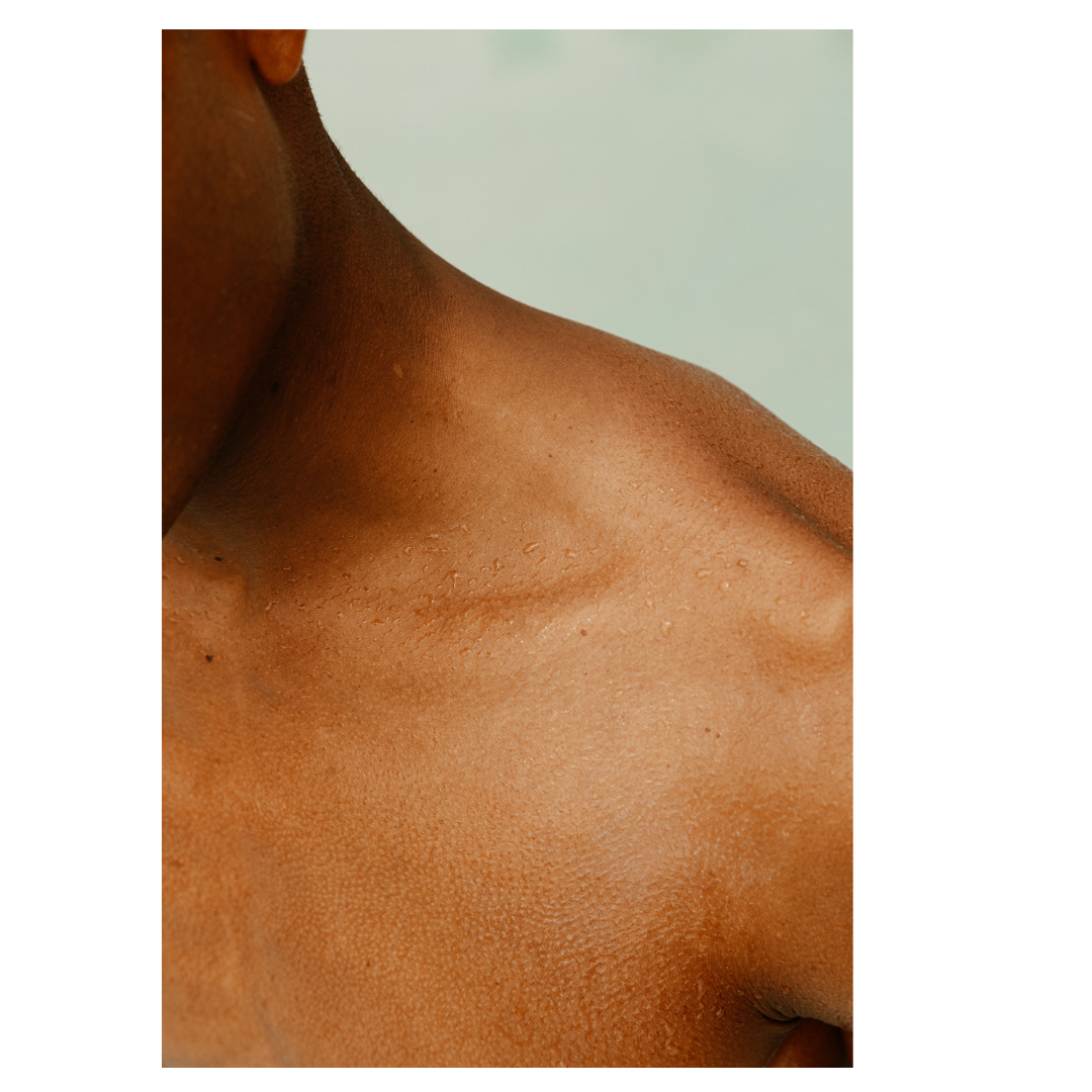 Longevity Plant (10).png