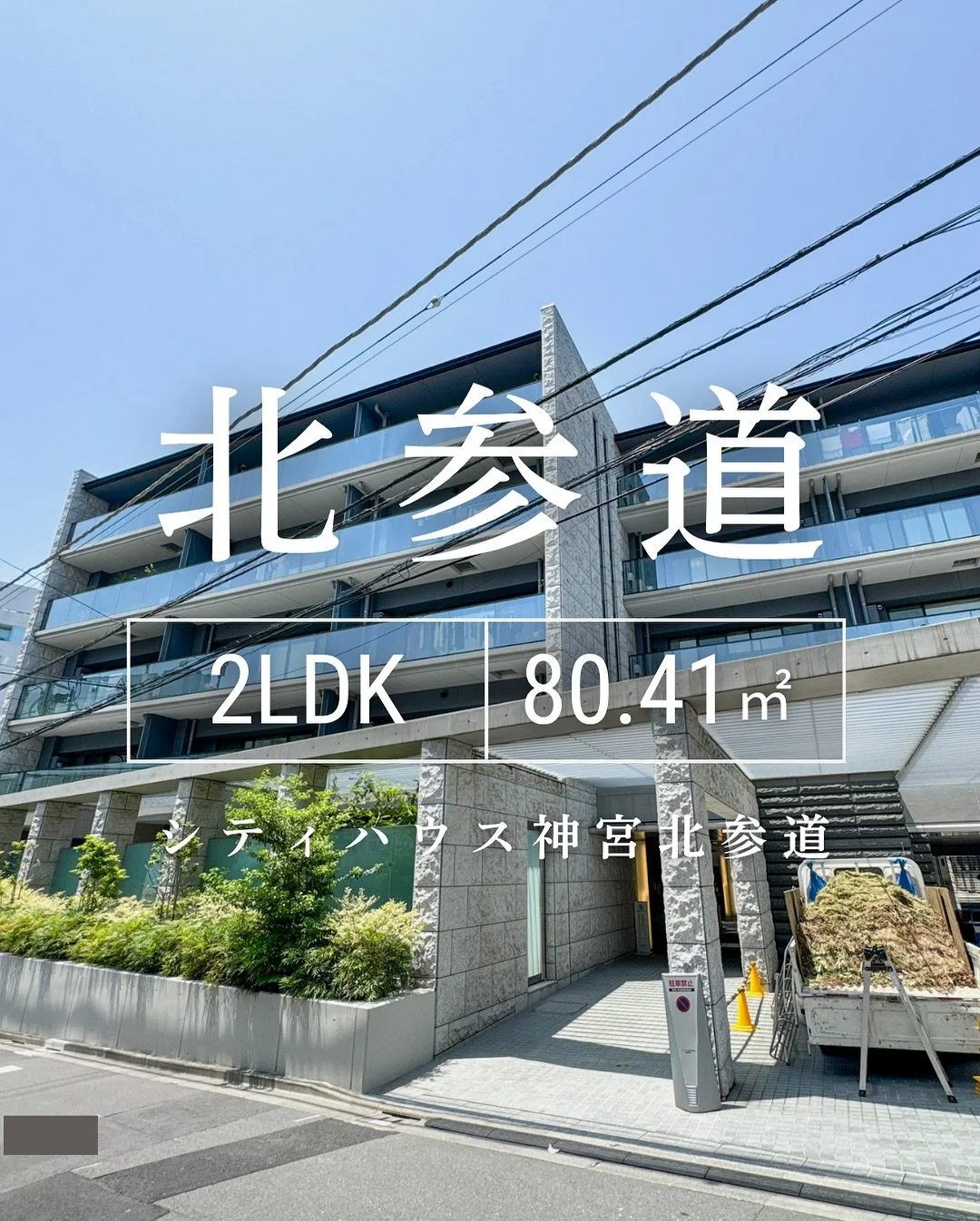 その他の物件はこちらから「@sendagaya_fudosan」

🙇&zwj;♀️こちらの物件はご成約頂きました🙇&zwj;♀️
類似の気になる物件のお問い合わせはお気軽にご相談ください😊

DMや公式LINEにて

物件No. 20250531

について、とお問い合わせください。

&mdash;&mdash;&mdash;&mdash;&mdash;&mdash;&mdash;&mdash;&mdash;&mdash;

◾️物件名：シティハウス神宮北参道 503号室

・間取り：