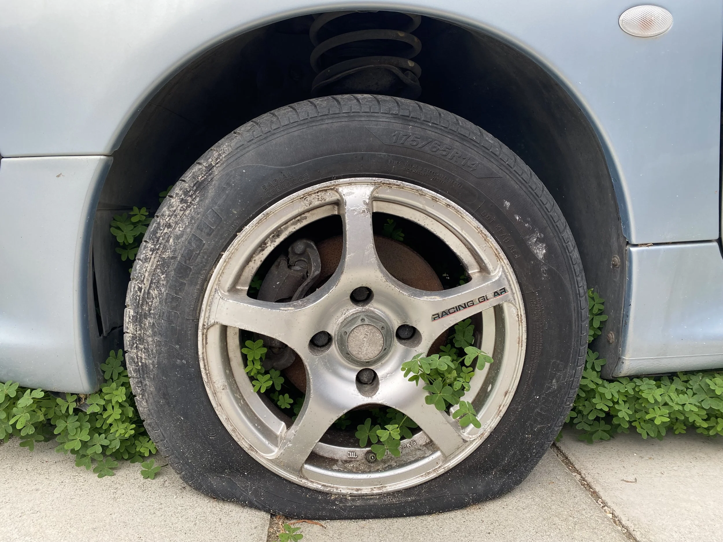 Ein Autoreifen ohne Luft, sichtbar platt, Pflanzen / Klee wachsen zwischen Reifen, Felge und Boden