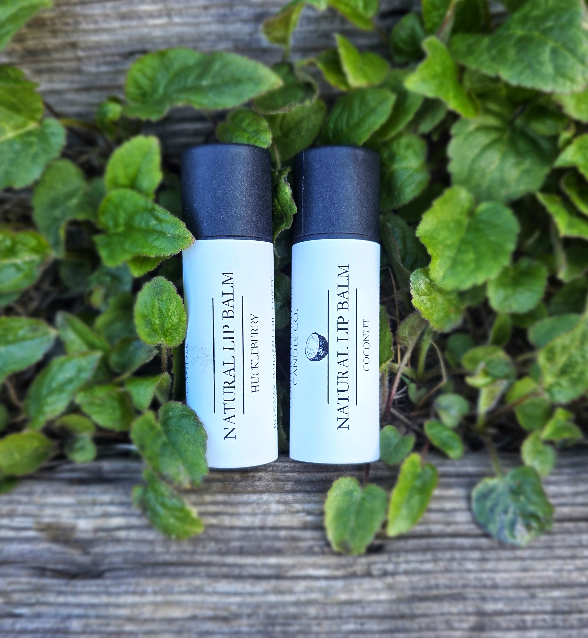 BEESWAX LIP BALM