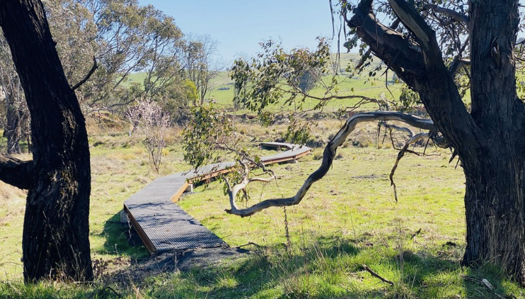 Junction Campground to Henry Angel Trackhead Reopens