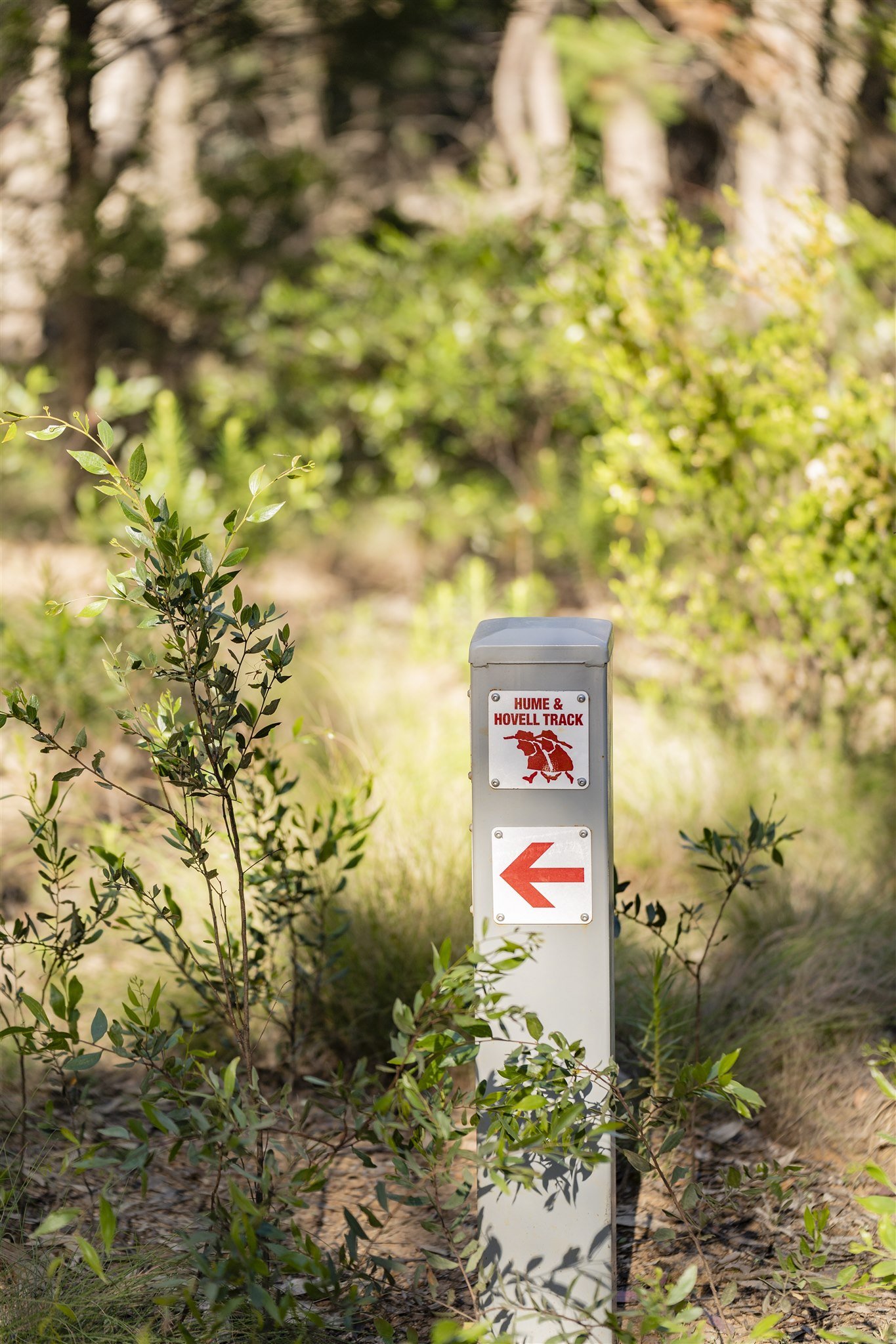 Kosciuszko National Park Temporary Closure from April 2024 to October 2024