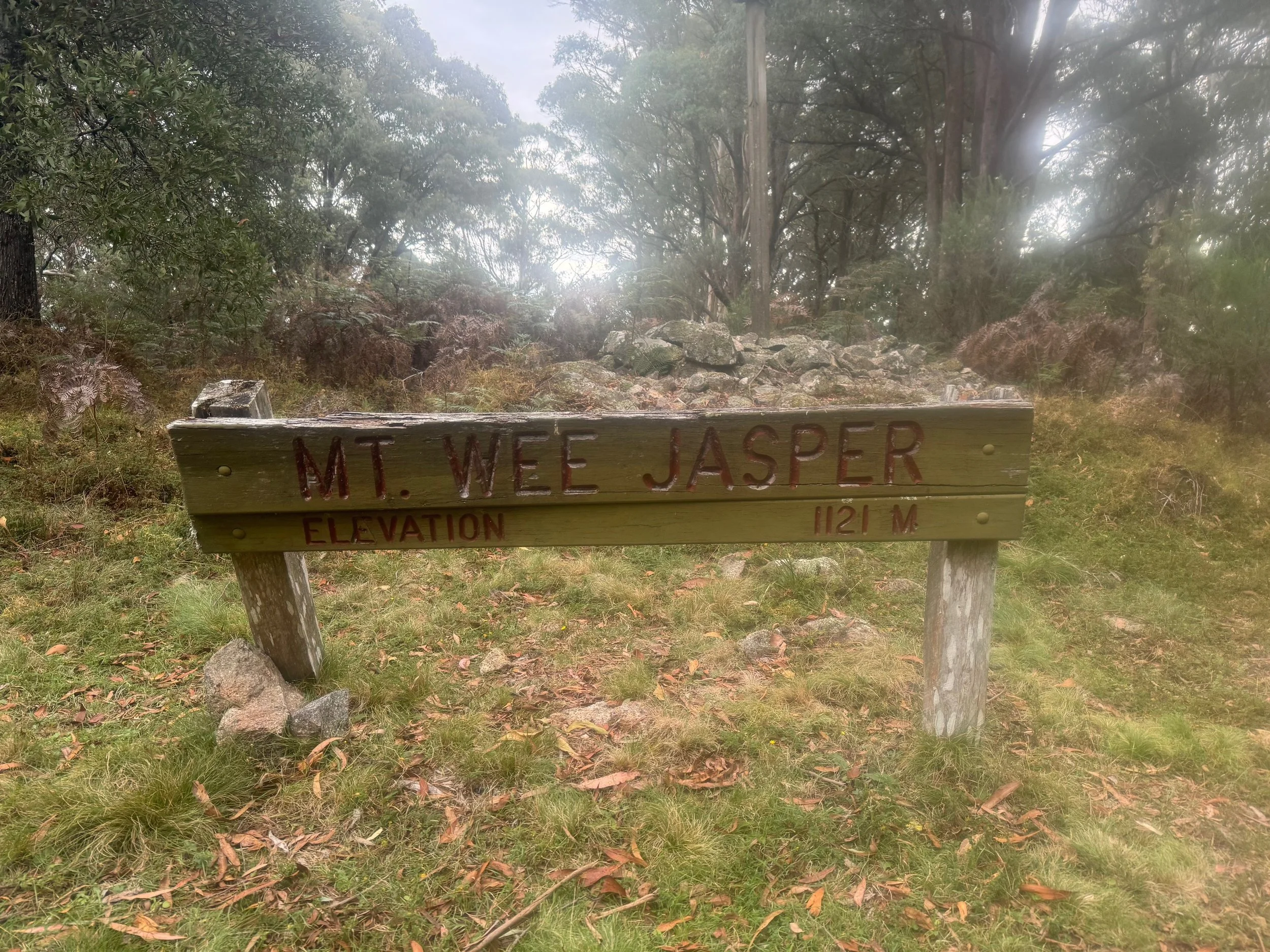 image5.jpeg