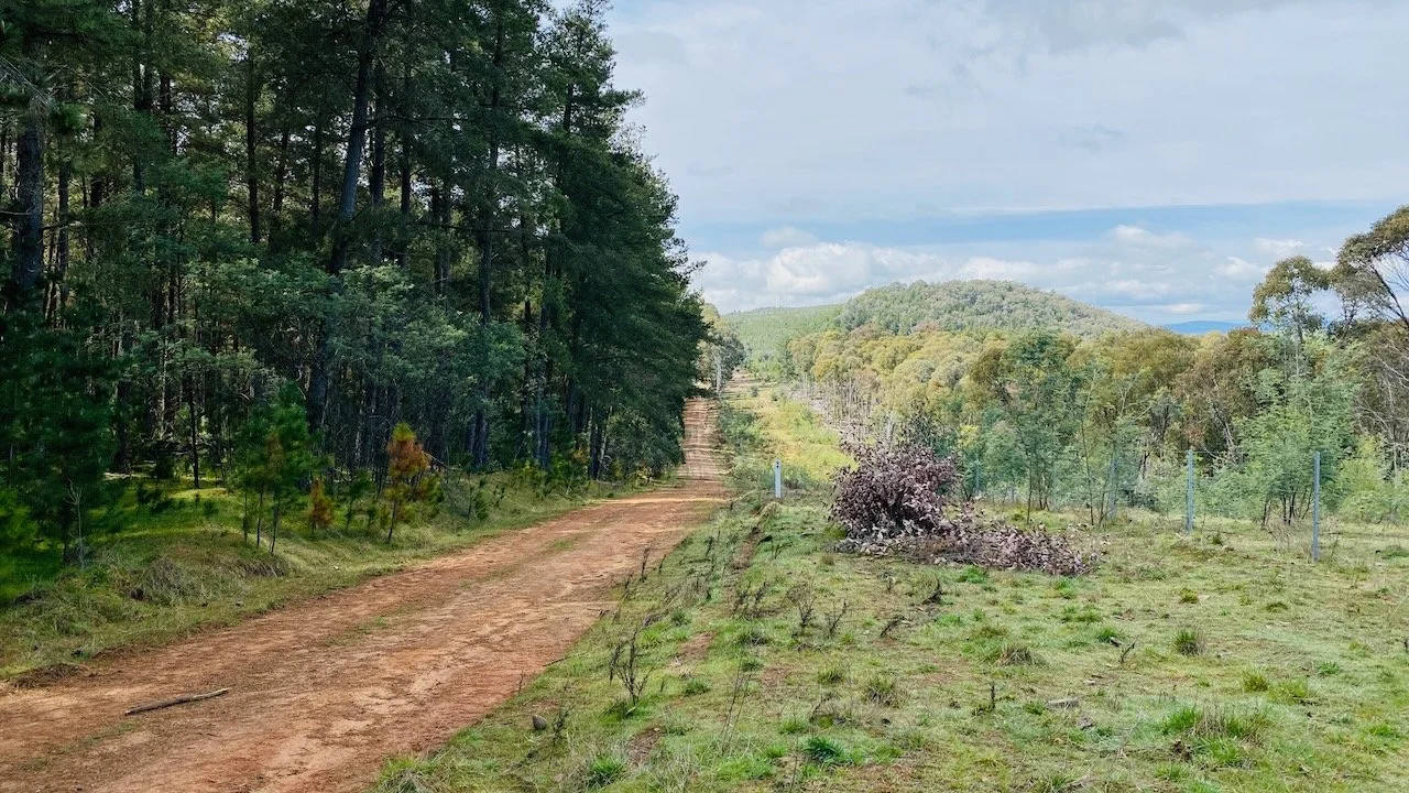 Mundaroo State Forest - Road Maintenance Activities