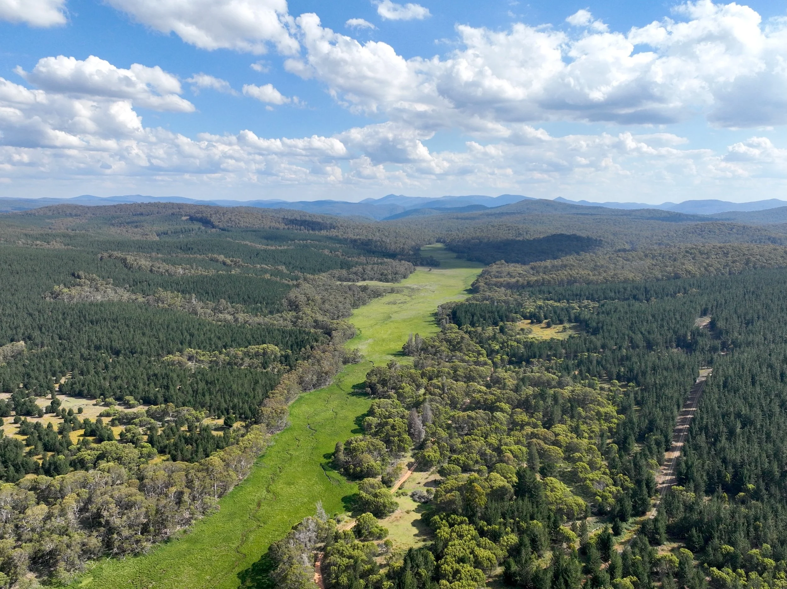 Bondo State Forest - Road Works August 2026