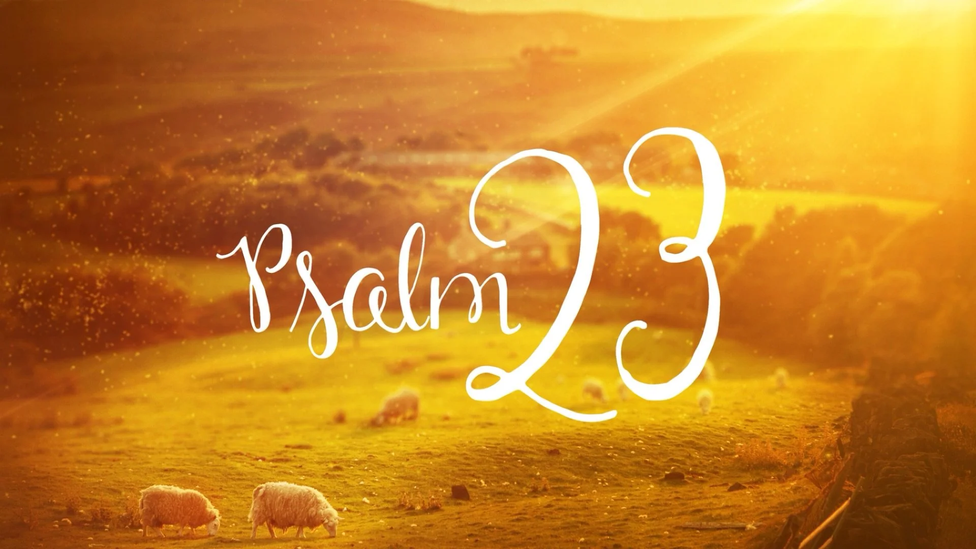 Psalm 23: Forever in His Care