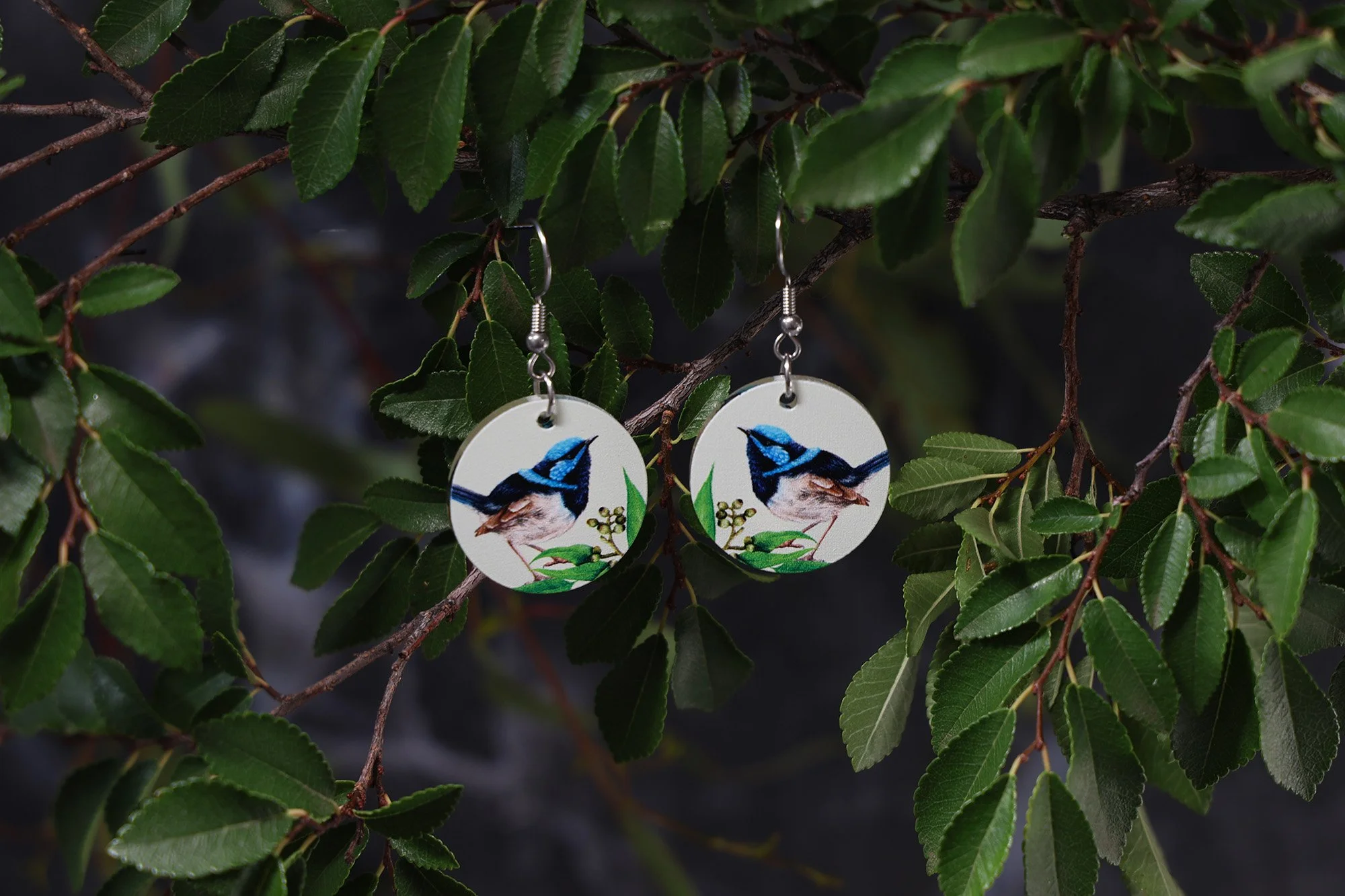 ROUND EARRINGS | Fairy Wrens