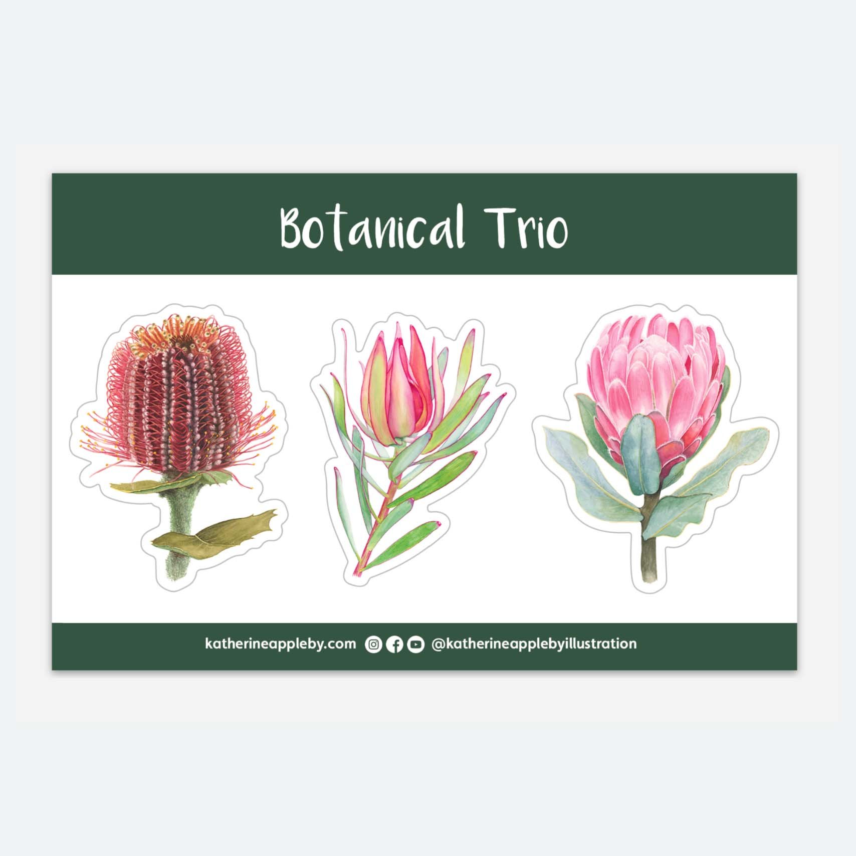 Botanical Trio.jpg