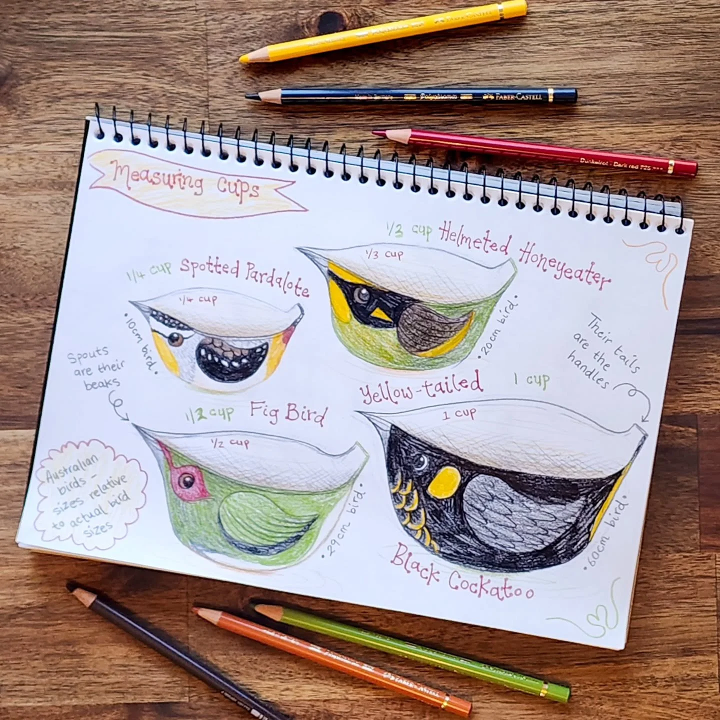 Yesterday I decided to combine my loves of birds, cooking, illustrating and designing to create concept drawings for Australian bird measuring cups. 🐦😊

Someone please tell me which Art Director at what homewares brand I need to talk to so that I c