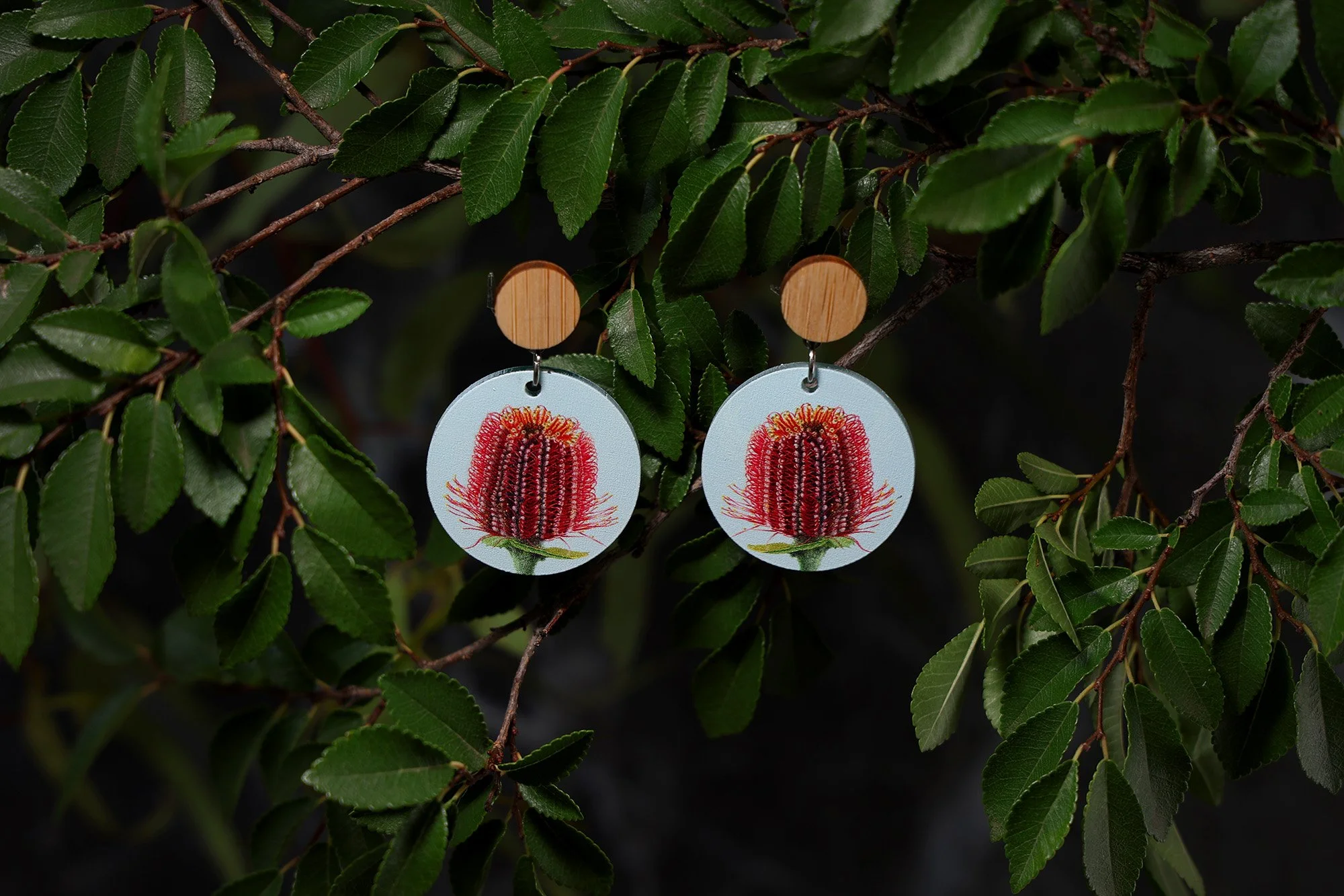 TimberTops_Banksia_LowRes.jpg