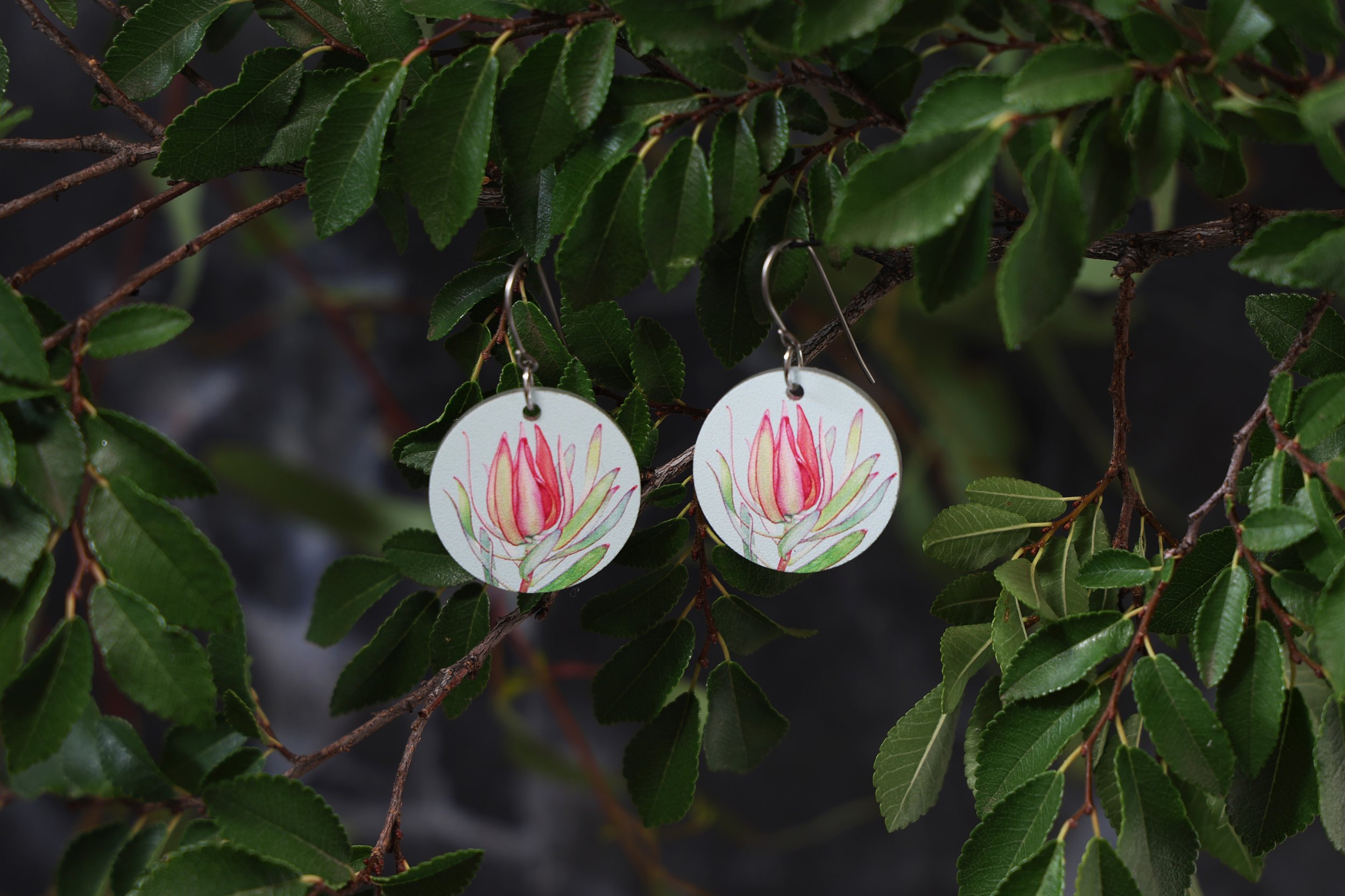 ROUND EARRINGS | Leucadendron