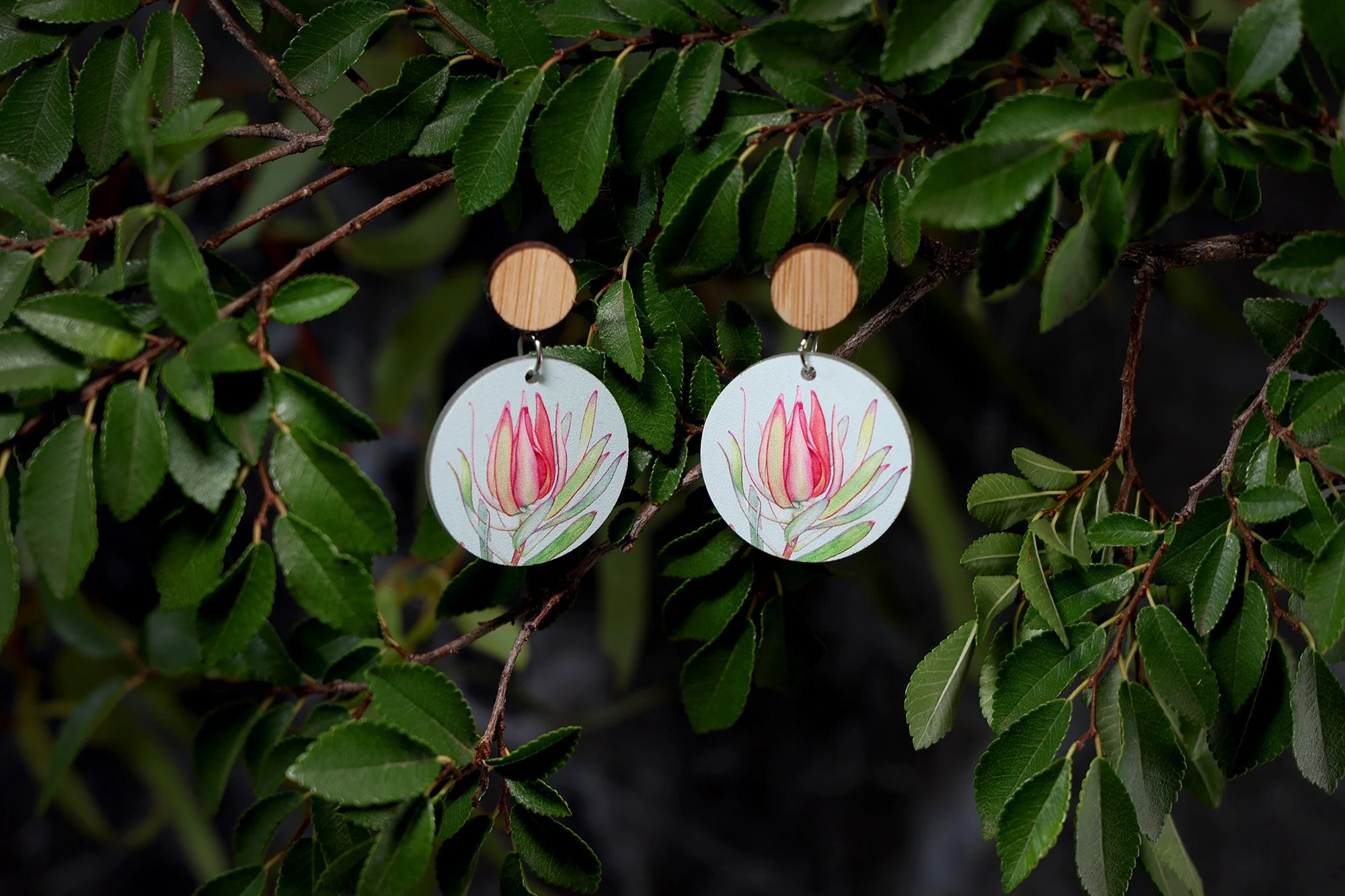 TIMBER TOP EARRINGS | Leucadendron