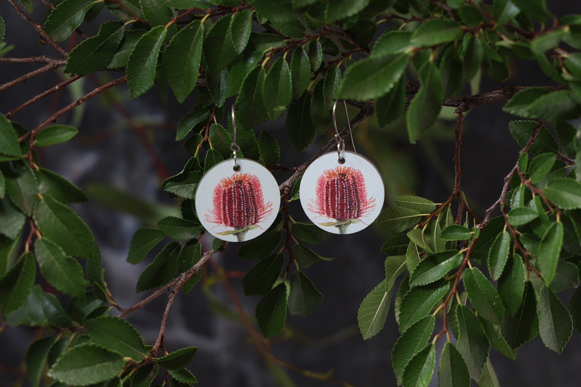 Medium Drops_Banksia_LowRes.jpg