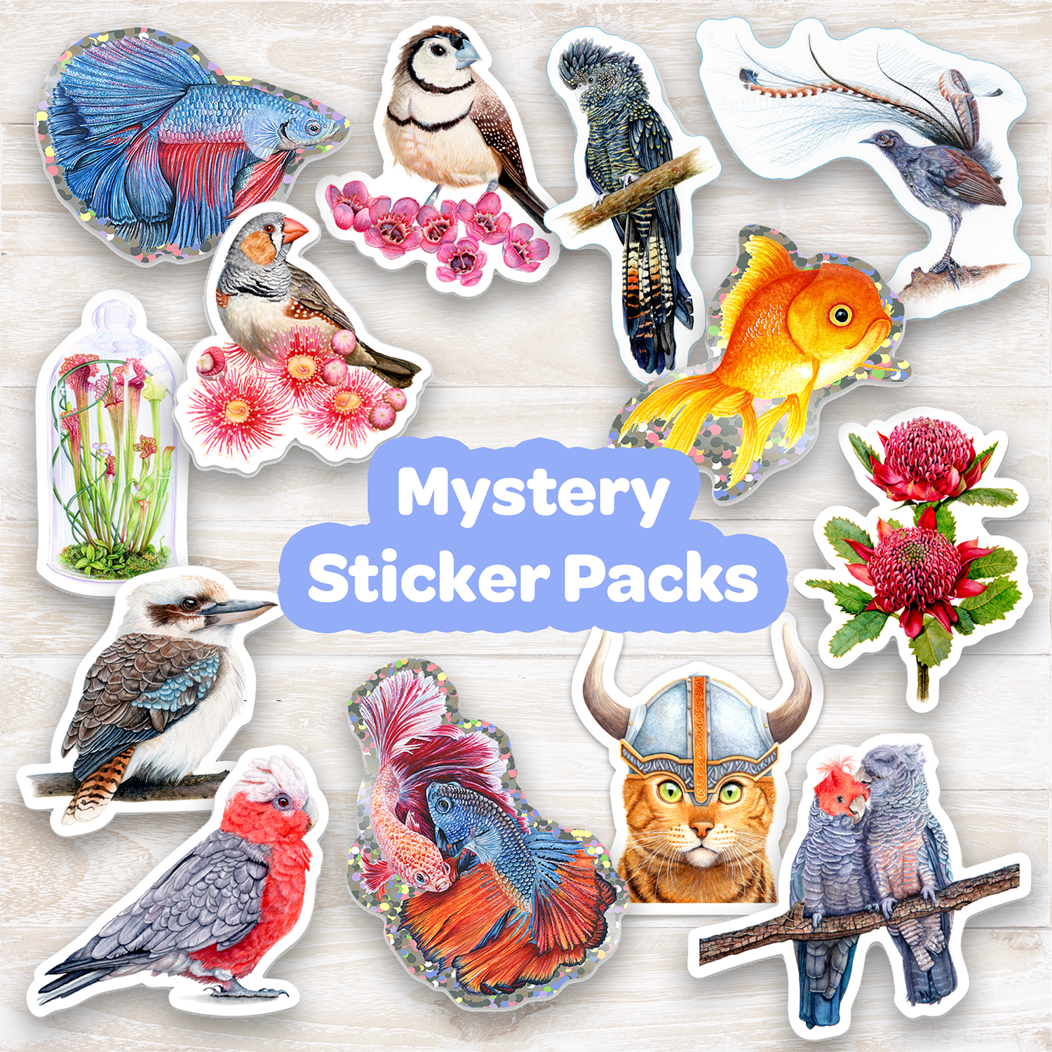 ShapedStickers.png
