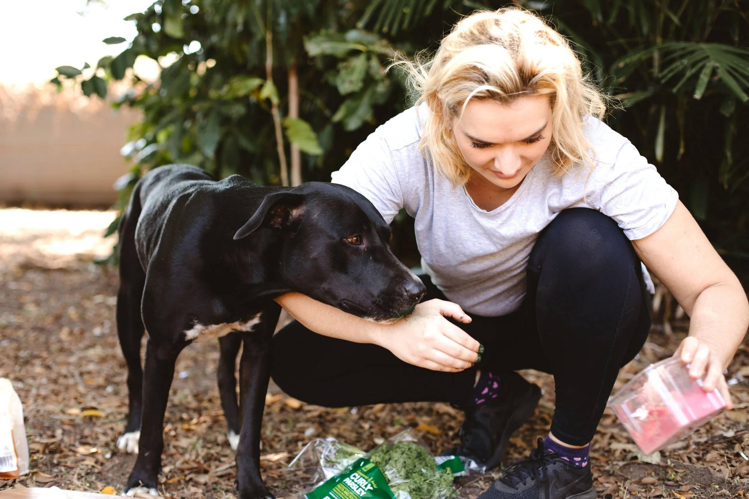Balanced Raw Dog Food Darwin — Australian Pet Nutrition Darwin