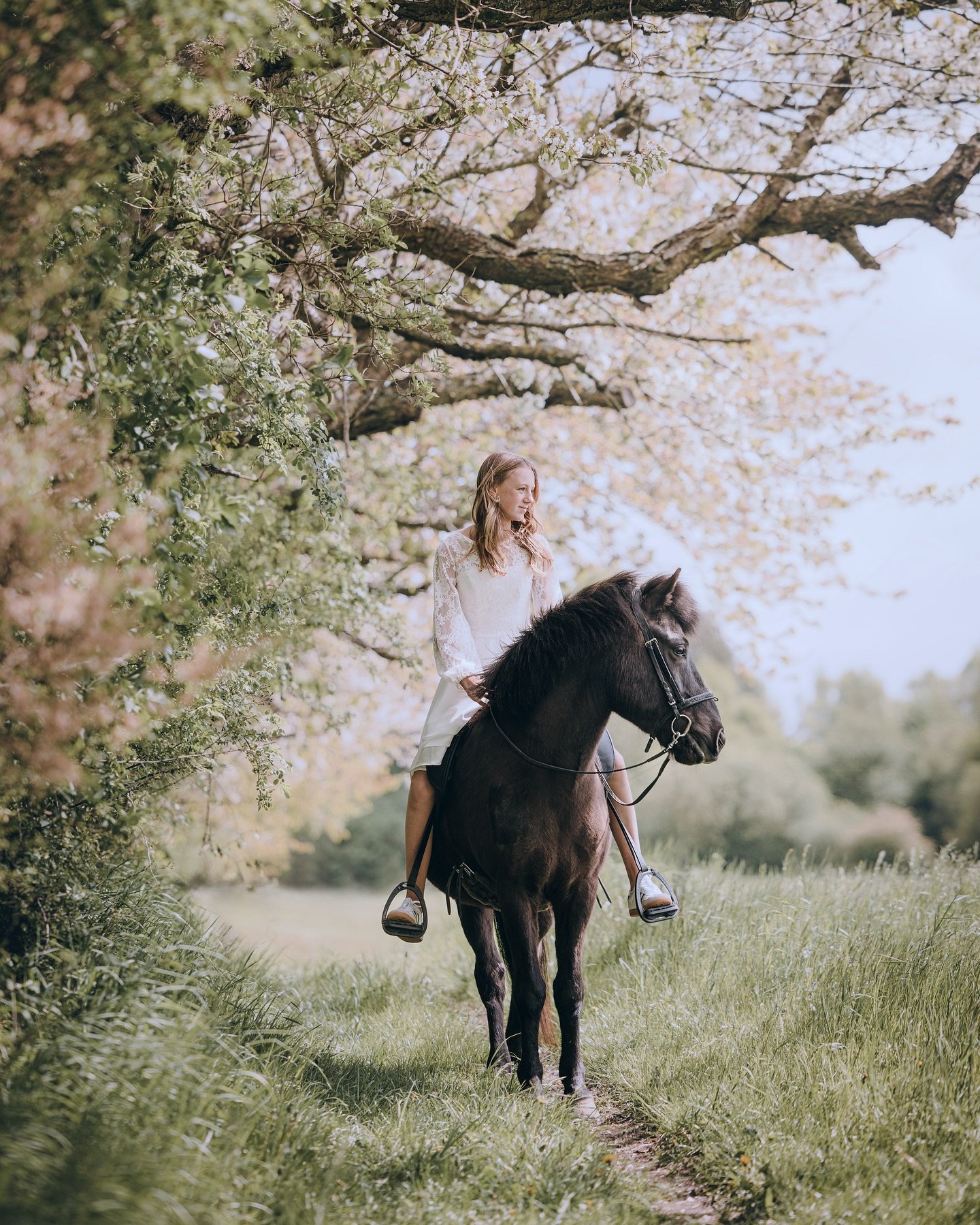 Maj m&aring;ned er altid travl - og i &aring;r er ingen undtagelse📸 Mange konfirmander dr&oslash;mmer nemlig, ligesom jeg selv gjorde, at blive foreviget med deres bedste 4-benede ven🌸 Joanna blev foreviget med begge sine to sk&oslash;nne isl&aelig