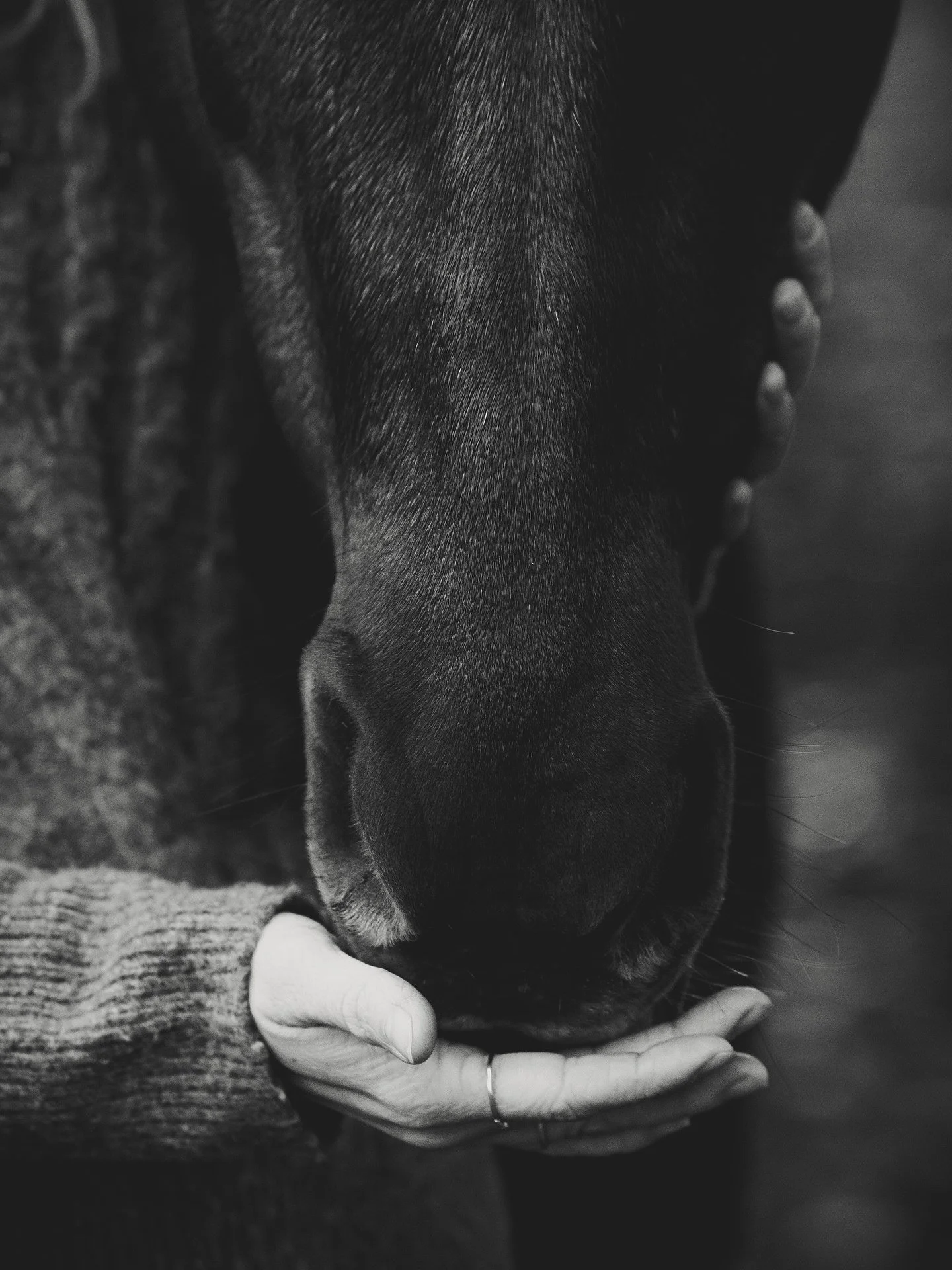 Denne weekend har st&aring;et p&aring; intet mindre end 8 shoots - sk&oslash;nne hver og en! Mange af dem endda hvor mine kunder direkte har sagt, at jeg havde kunstnerisk frihed. Den s&aelig;tning f&aring;r jeg oftere og oftere - og hvis der er noge