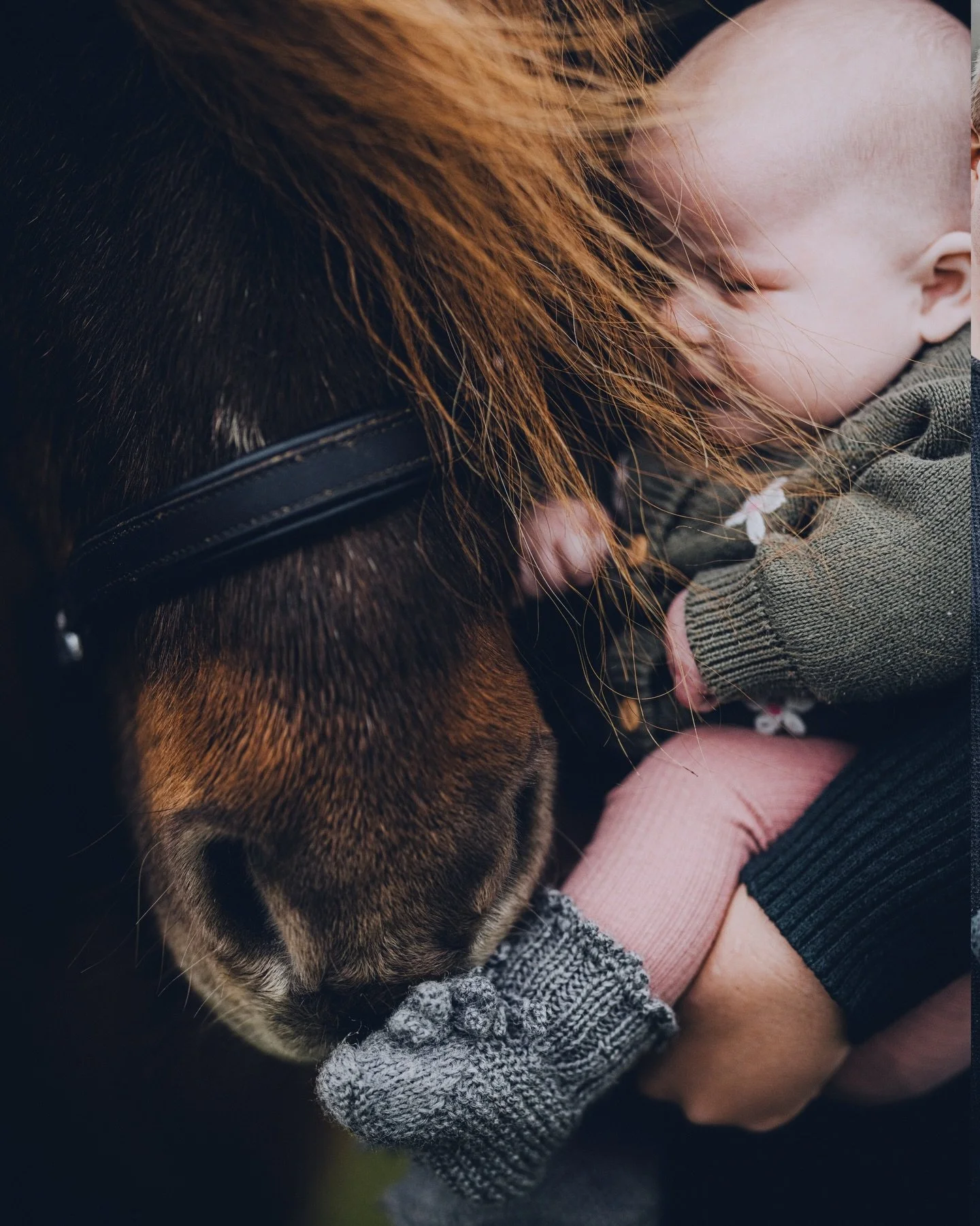 Frederikke bookede i November et shoot med dem hun holder aller mest af - hendes mand, deres blot 3 m&aring;neder gamle barn og Frederikkes &aelig;ldre hest, som hun har kendt s&aring; l&aelig;nge, at man vidst godt kan kalde ham hendes livsvidne🤍