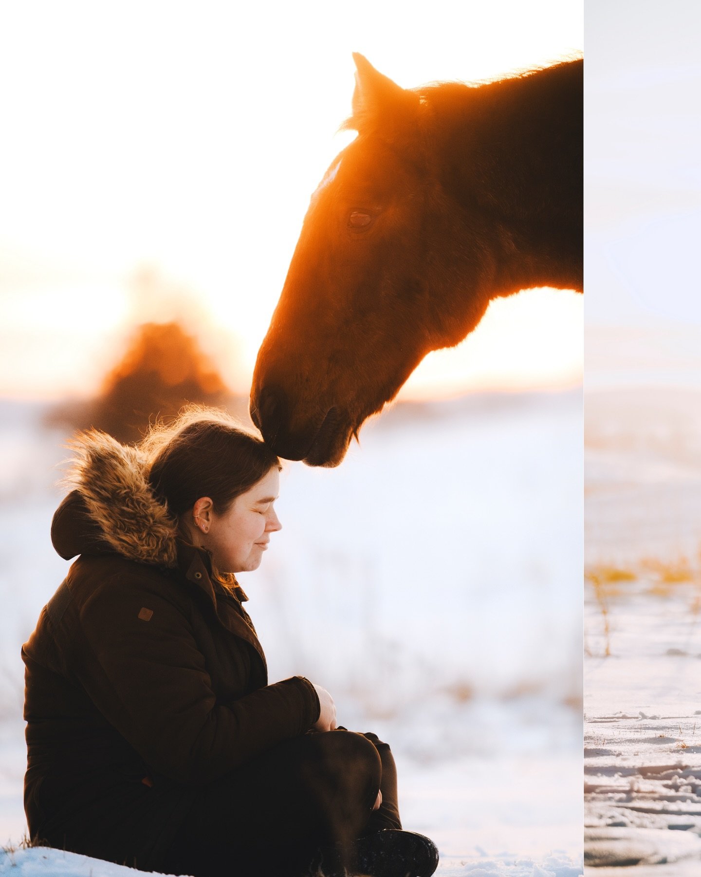 Nu ved jeg godt at datoen siger for&aring;r, meeeen jeg bliver alligvel n&oslash;d til at dele et par billeder fra vinterens sidste snedage. Trine og hendes &aelig;ldre vallak Robin var foran kameraet i den sk&oslash;nneste solnedgang - et makkerskab