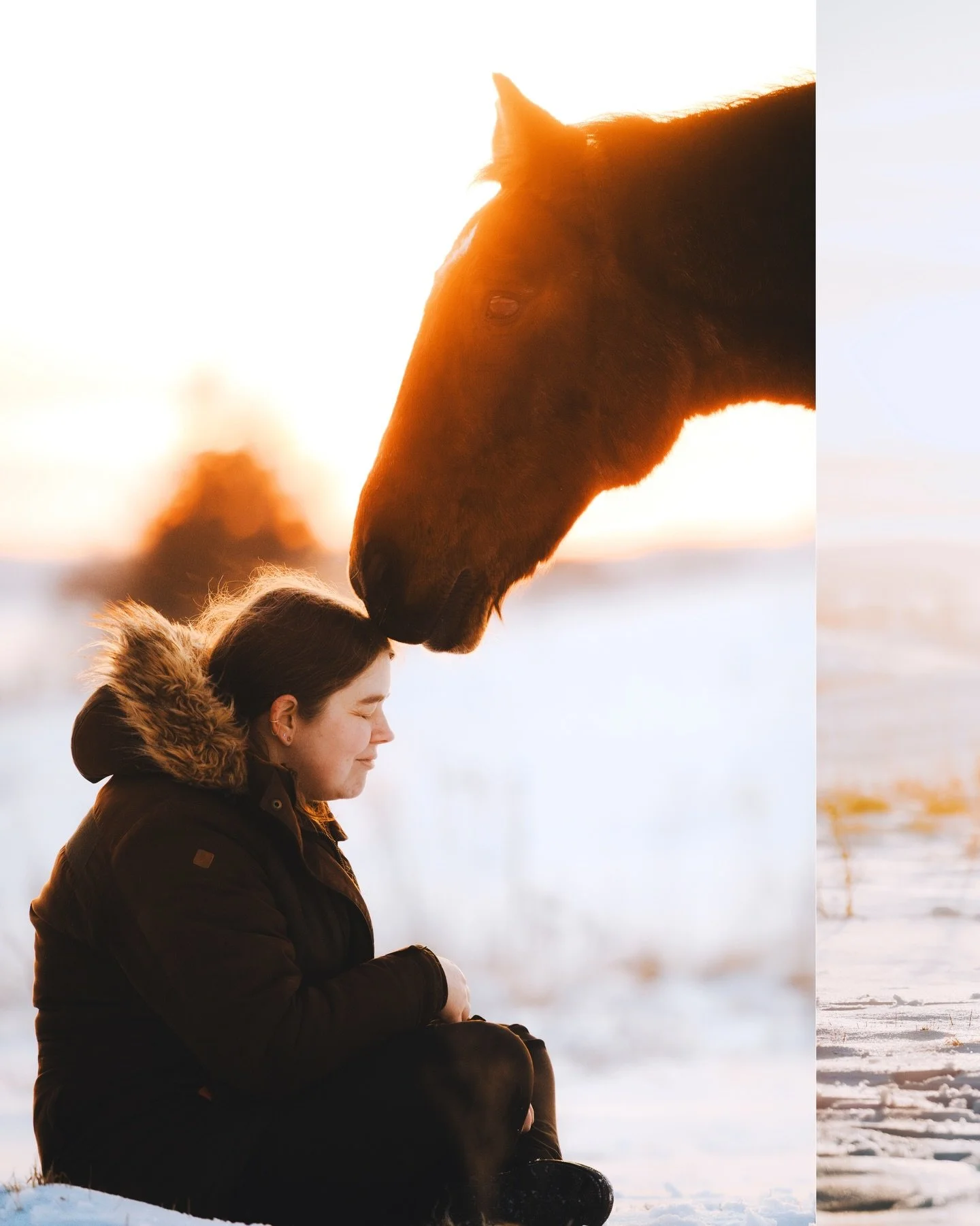 Nu ved jeg godt at datoen siger for&aring;r, meeeen jeg bliver alligvel n&oslash;d til at dele et par billeder fra vinterens sidste snedage. Trine og hendes &aelig;ldre vallak Robin var foran kameraet i den sk&oslash;nneste solnedgang - et makkerskab