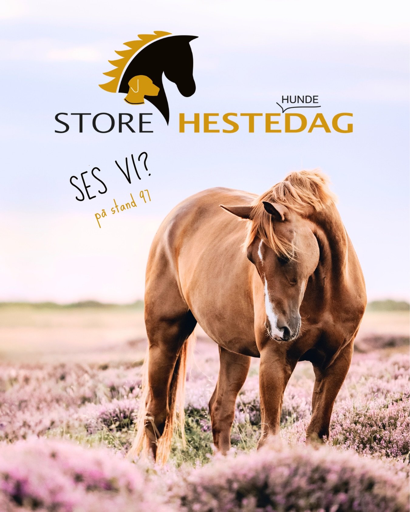 Igen i &aring;r er @kajawennichphotography at finde p&aring; @storehestedag - denne gang p&aring; stand nr. 97 (lige bag tribunerne ved den store ring) med @sadelmageren.dk 🌟 Jeg gl&aelig;der mig s&aring;dan til endnu engang at m&oslash;de nye som k