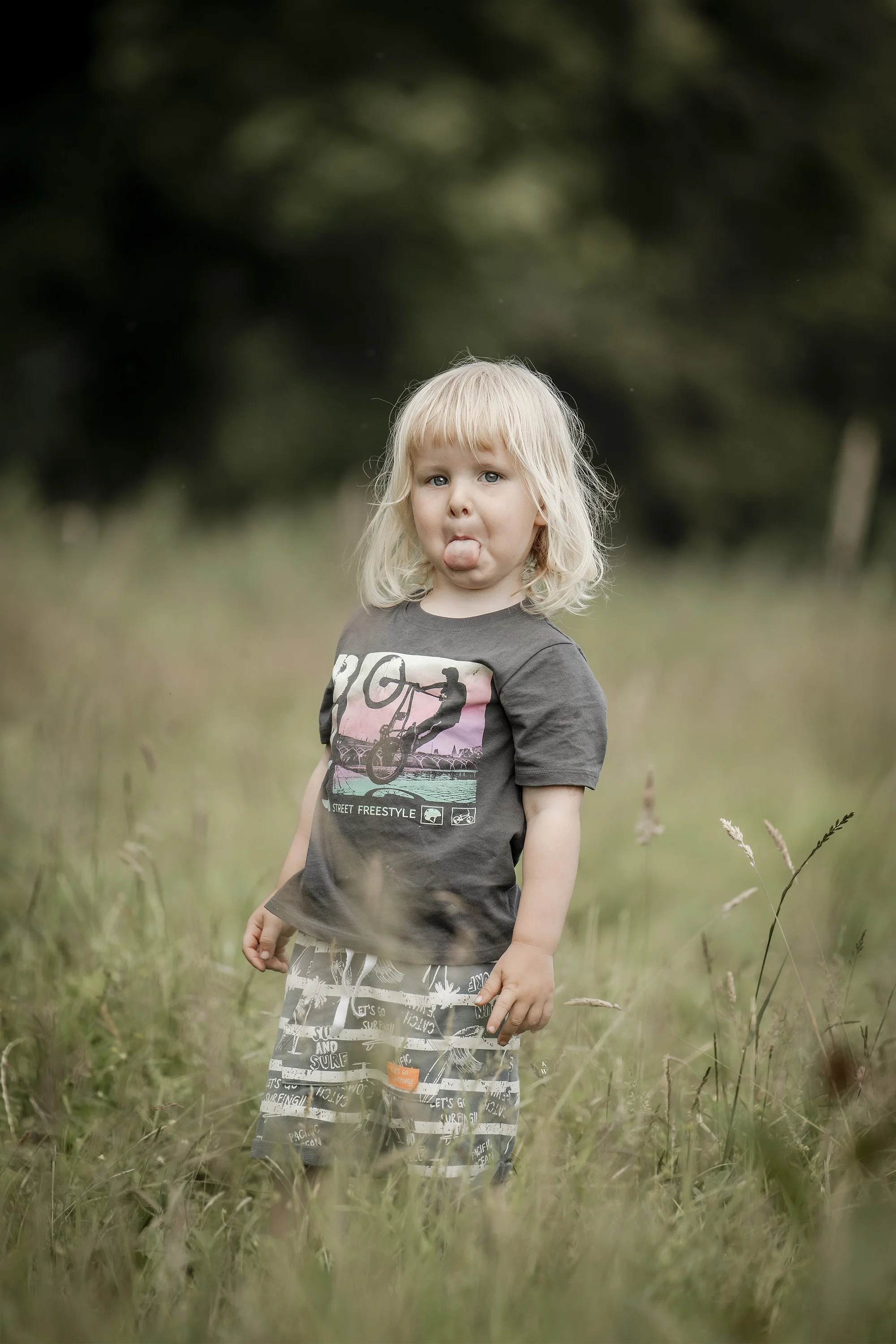 _WP_2978-Edit copy.jpg