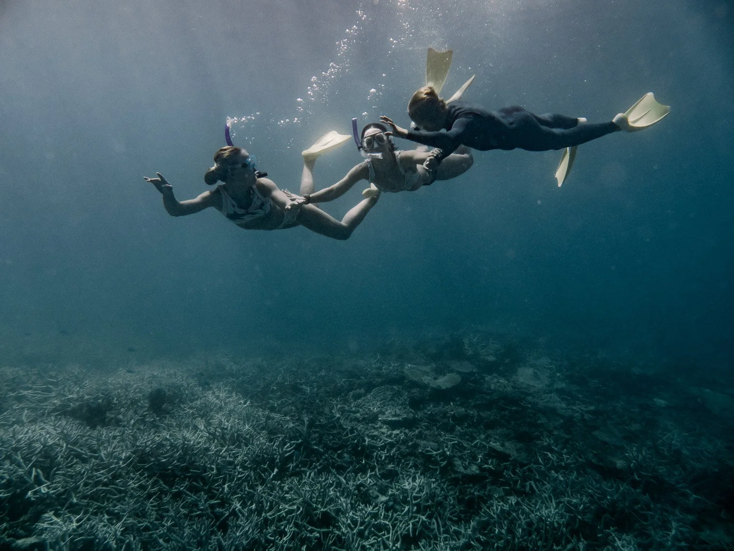 Awol Family Heron Island8.jpg