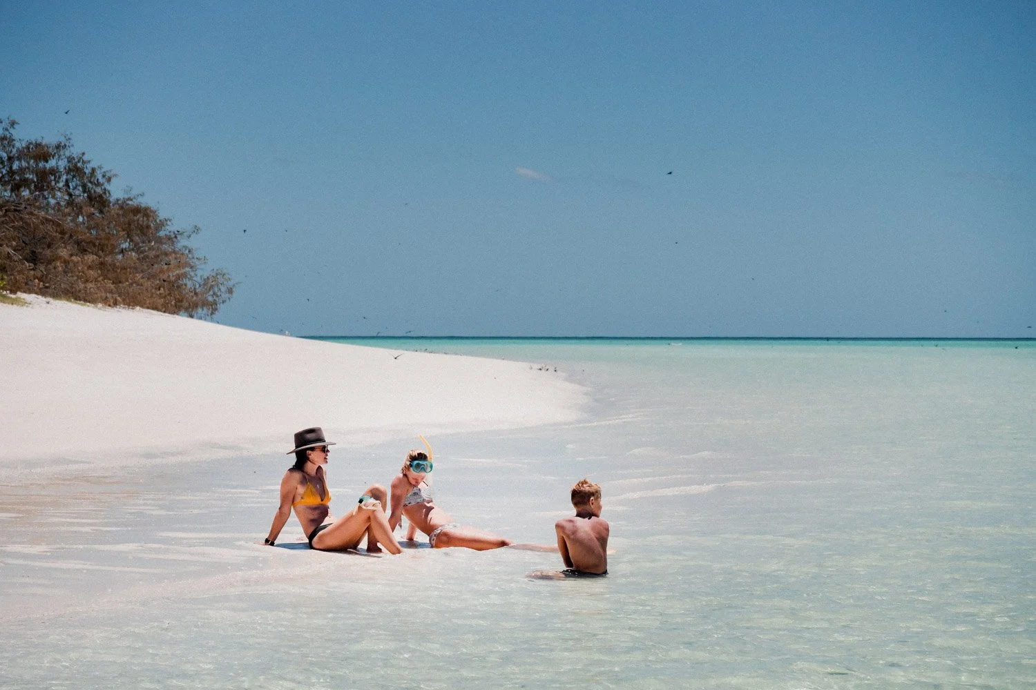 Awol Family Heron Island2.jpg